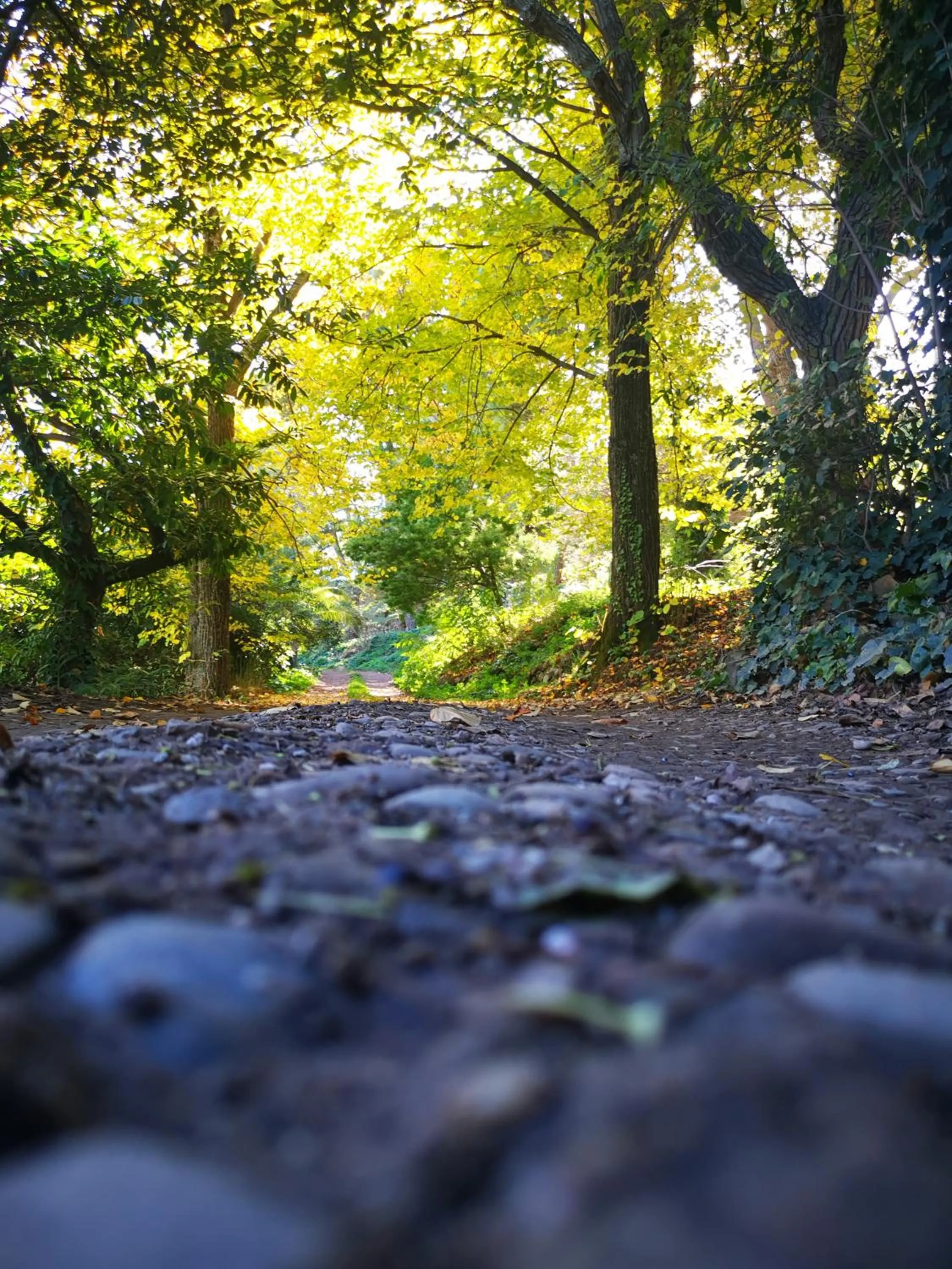 SESIMA turismo rurale