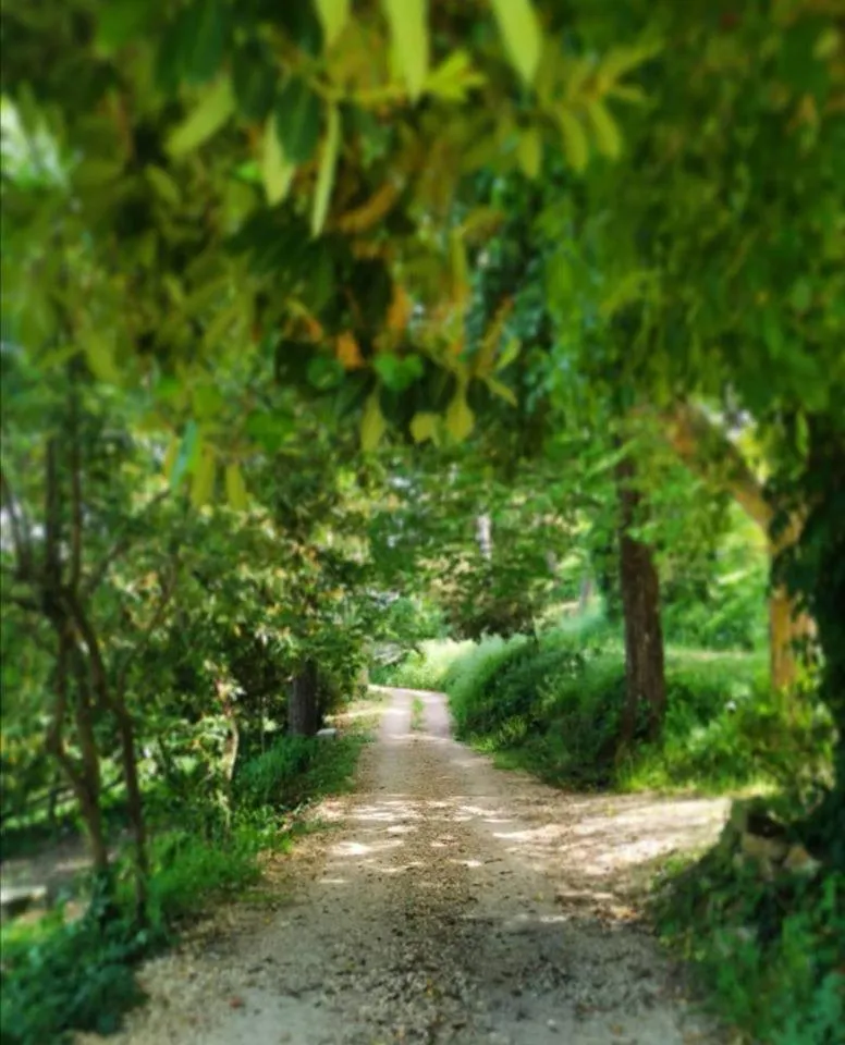 SESIMA turismo rurale