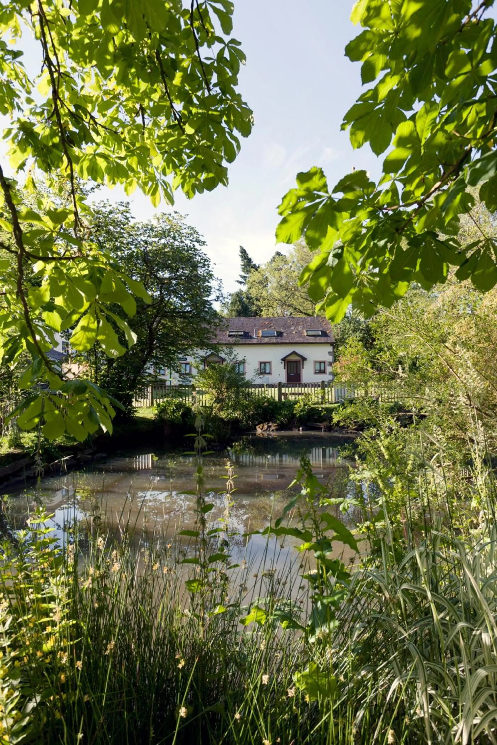 Garden in The Ullswater Suites at Whitbarrow