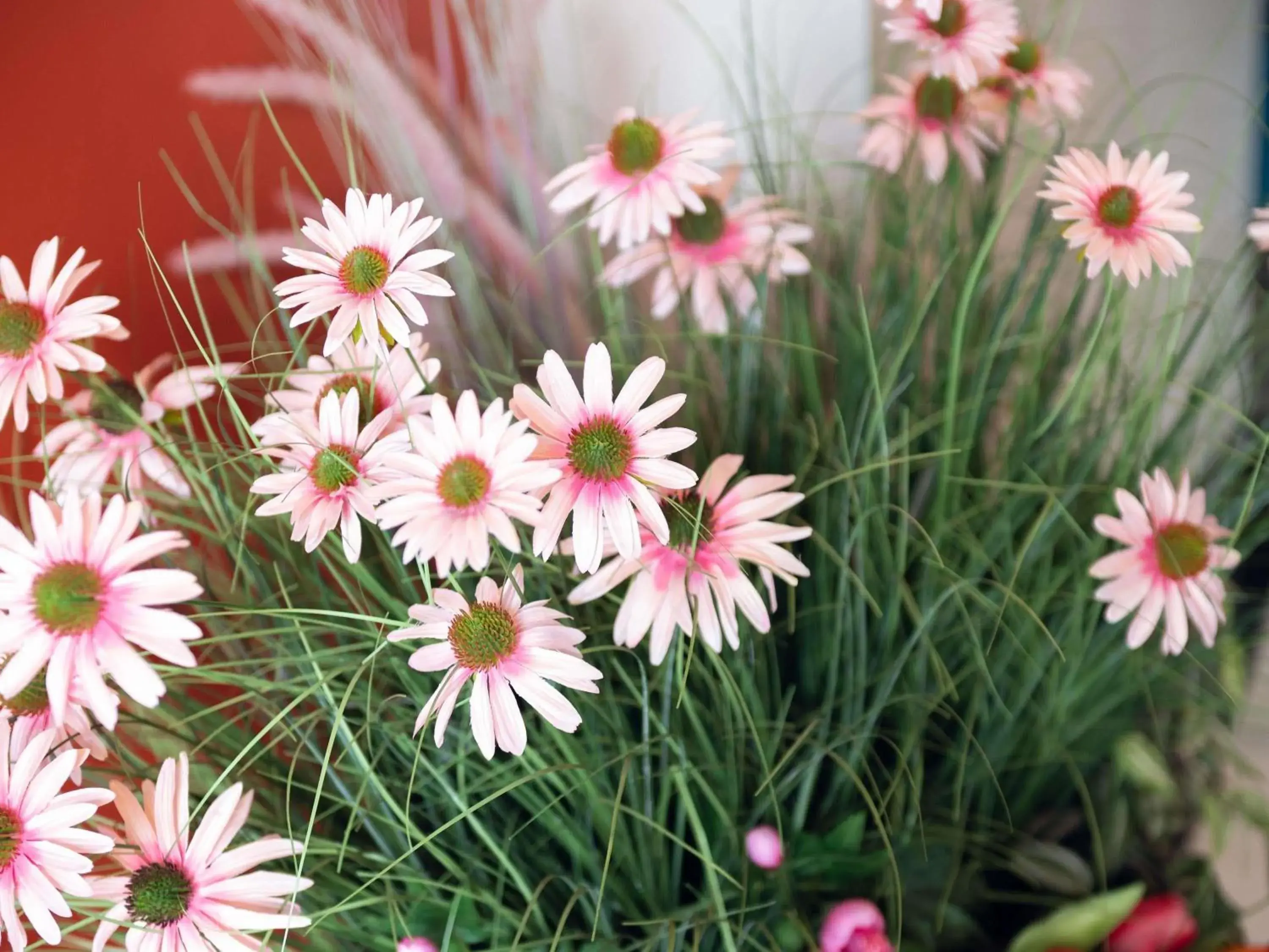 Property building in Ibis Styles Paris Batignolles Property building in Ibis Styles Paris Batignolles