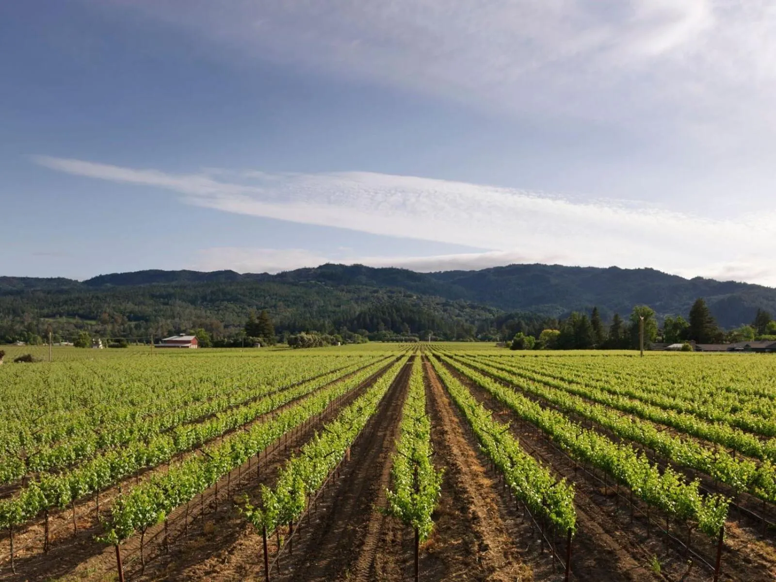 View (from property/room) in Harvest Inn