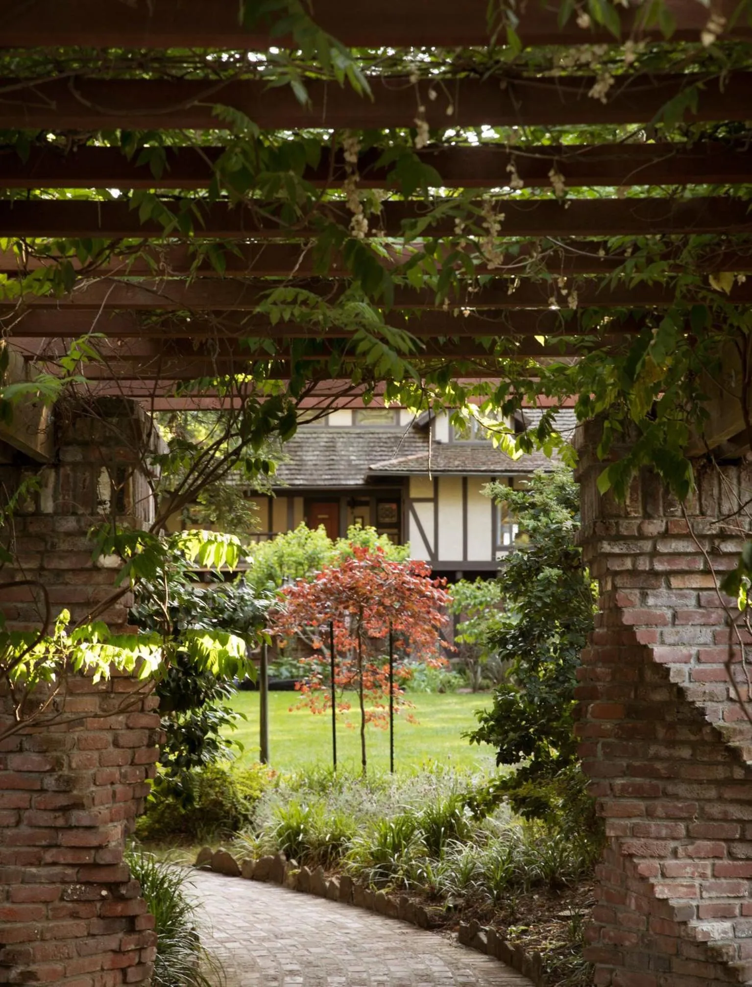 Natural landscape in Harvest Inn