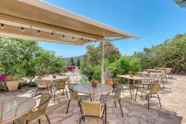 Garden view in Hôtel Paradis