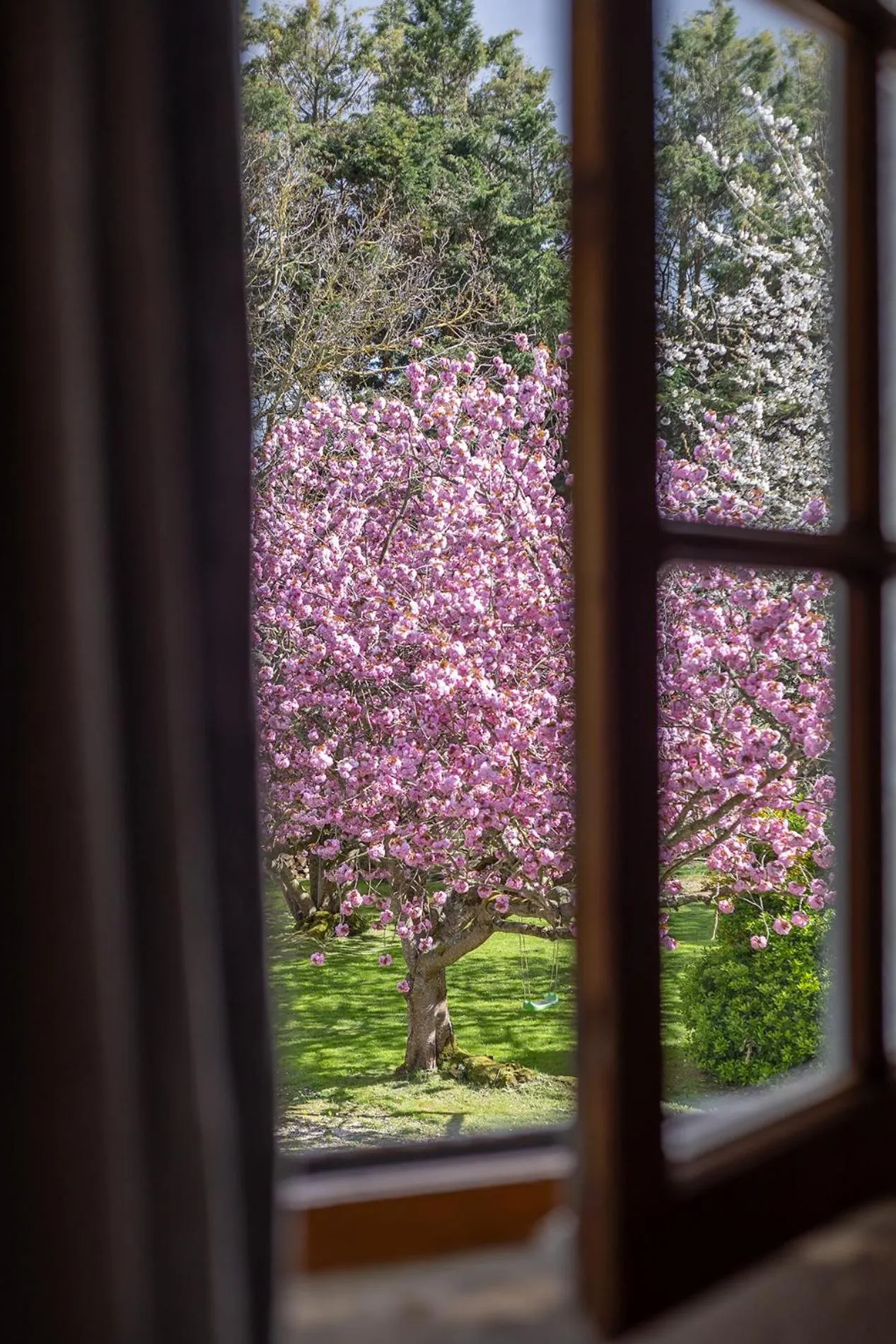 Garden view in Ferme de la Rançonnière - Hôtel & Restaurant