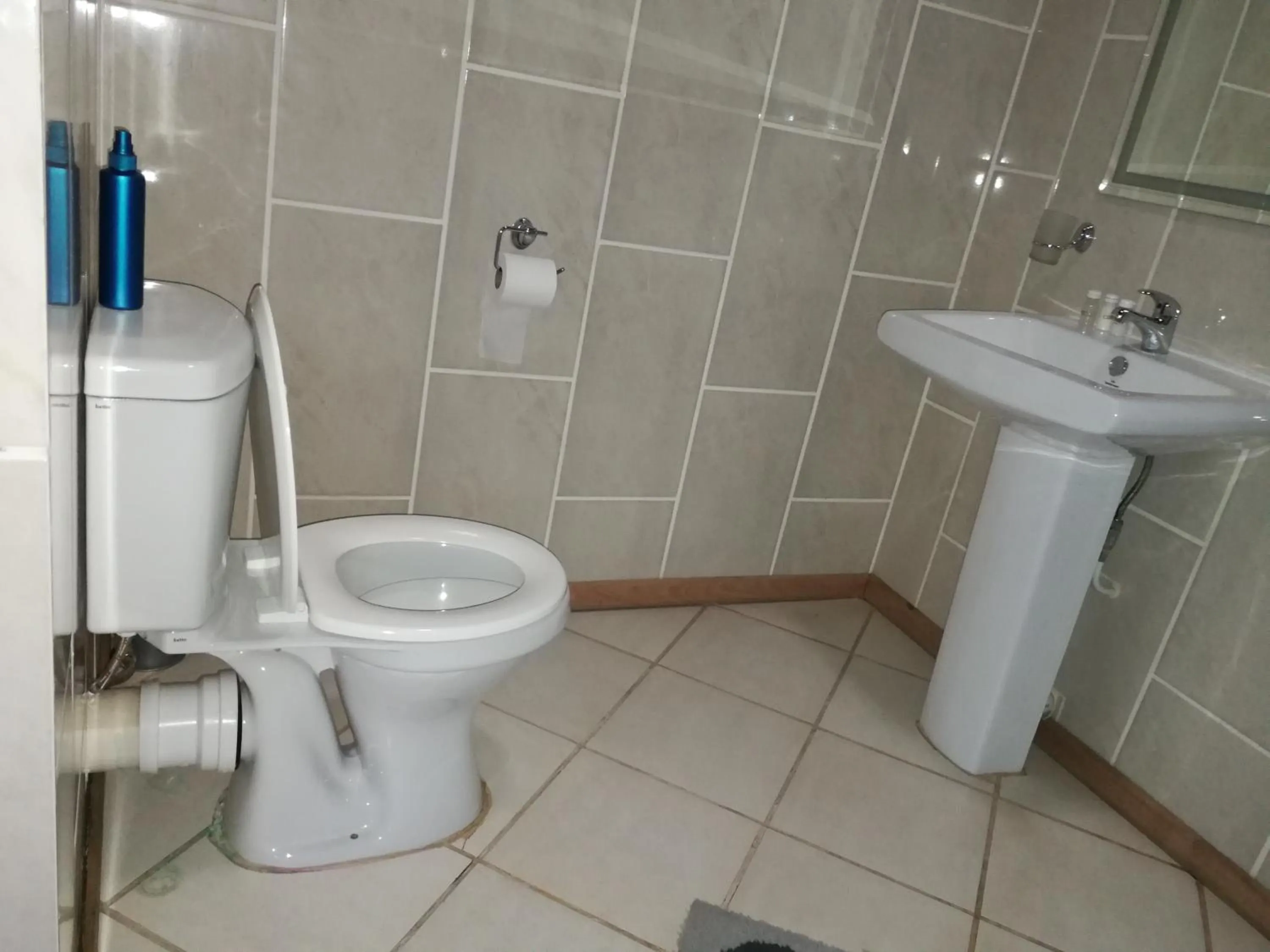 Bathroom in Bougain Villa Guesthouse