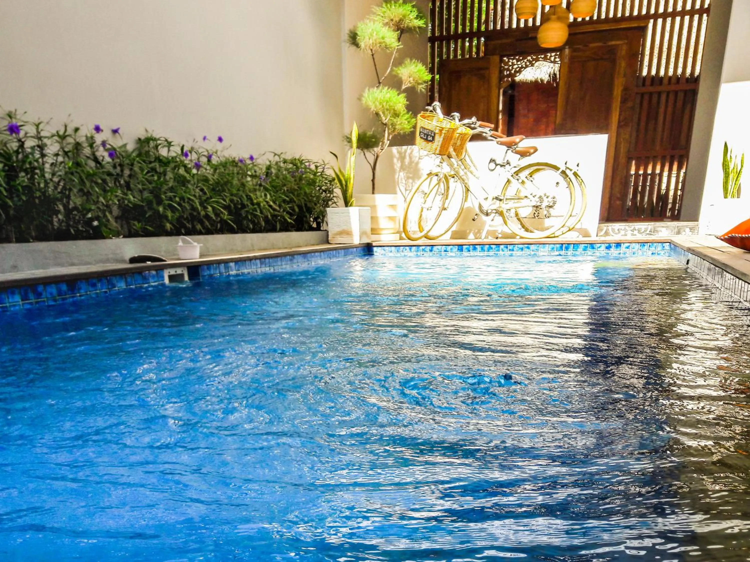 Swimming pool in Mantra Gili