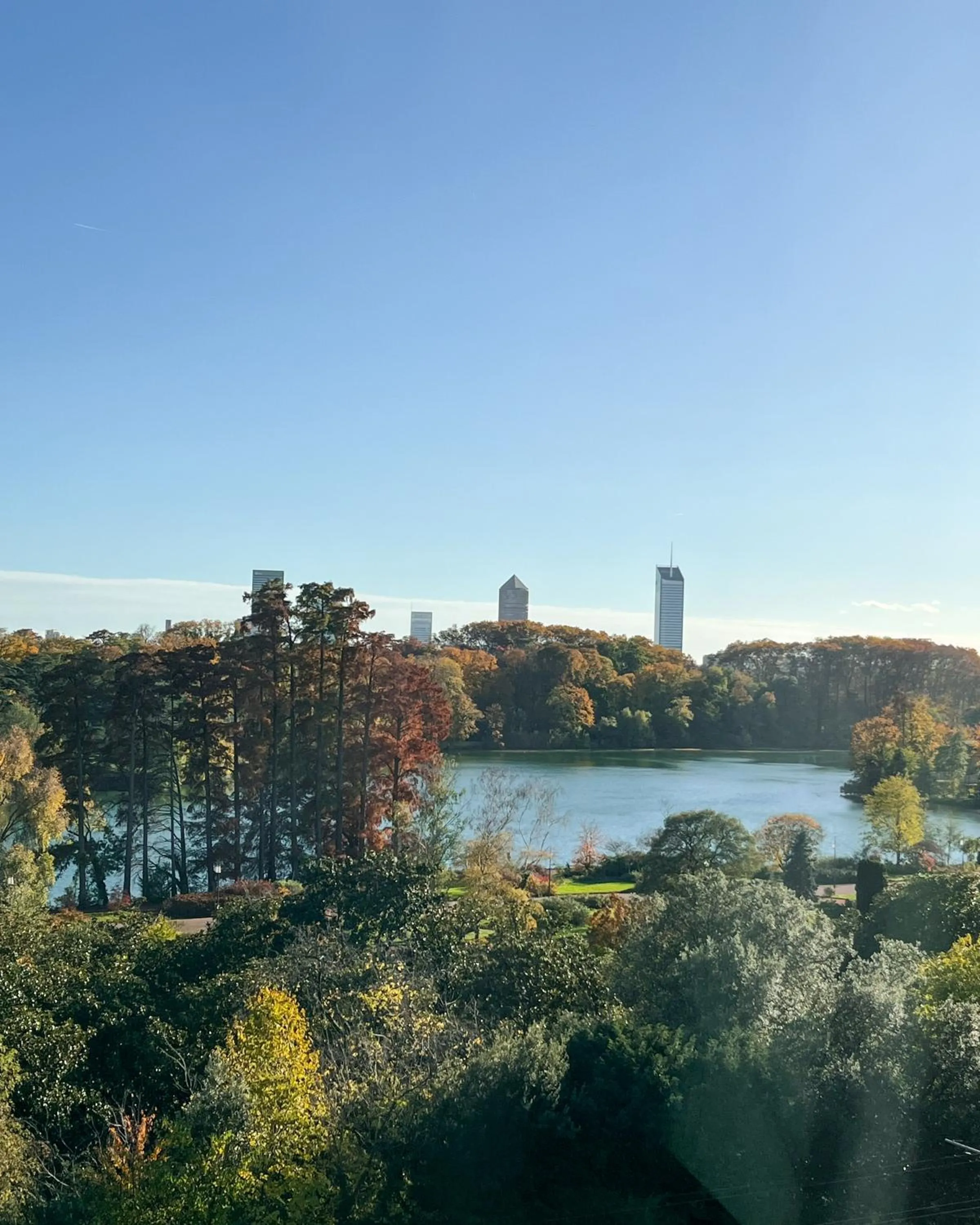 Garden view in Lyon Marriott Hotel Cité Internationale