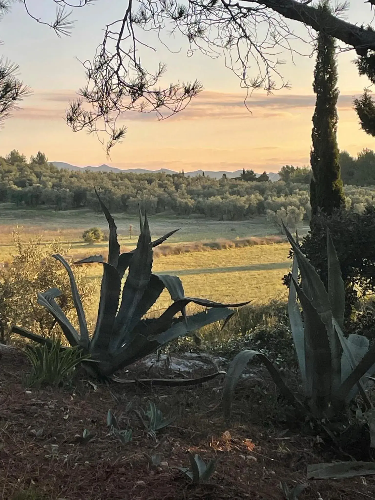 Double Room with Pool View in Mas des Alpilles Double Room with Pool View in Mas des Alpilles