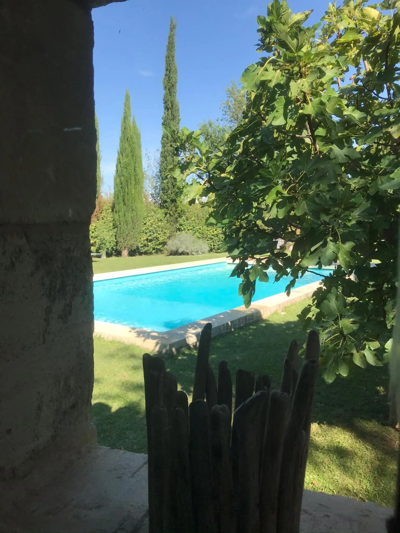 Garden in Mas des Alpilles