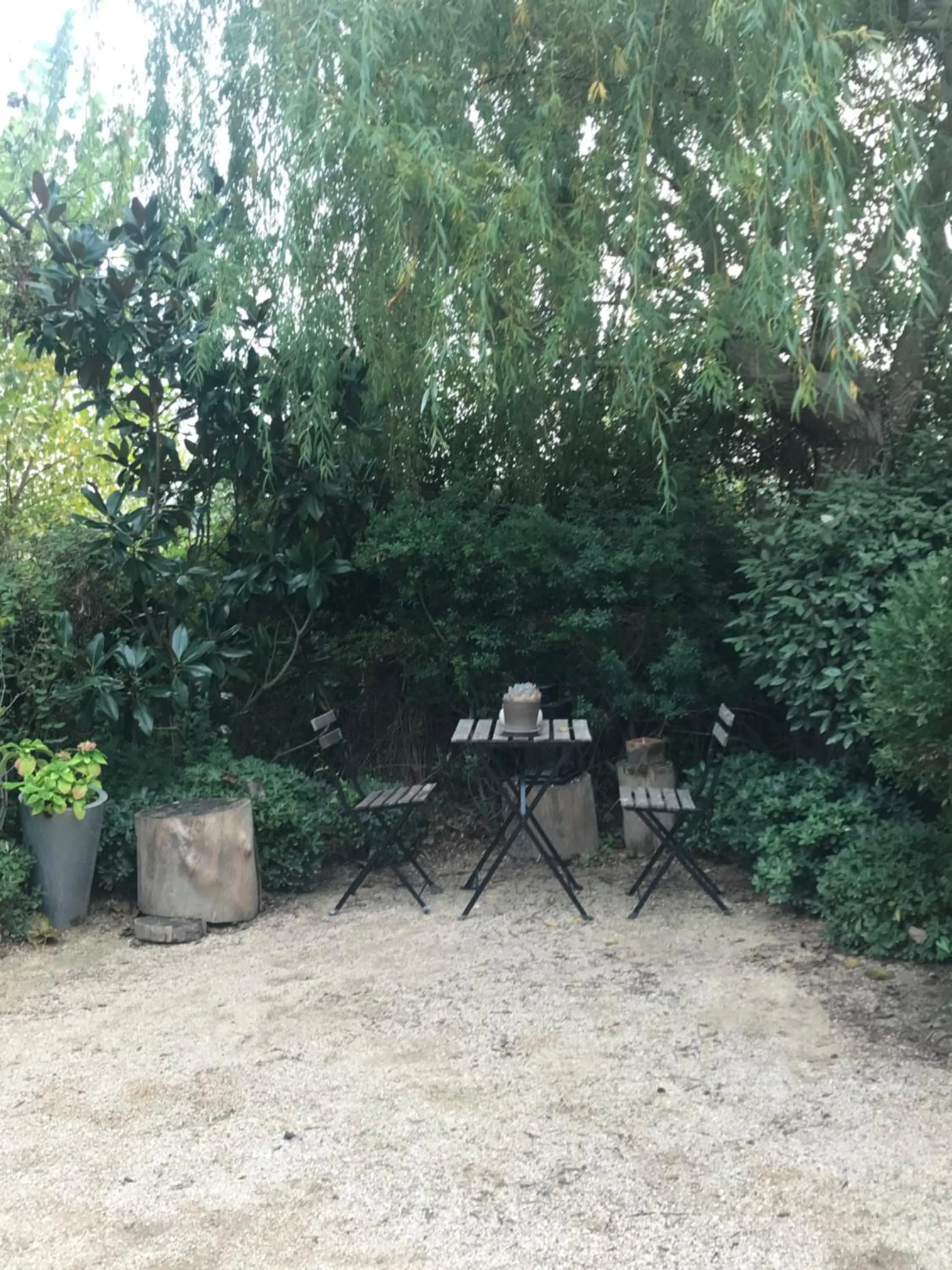 Patio in Mas des Alpilles