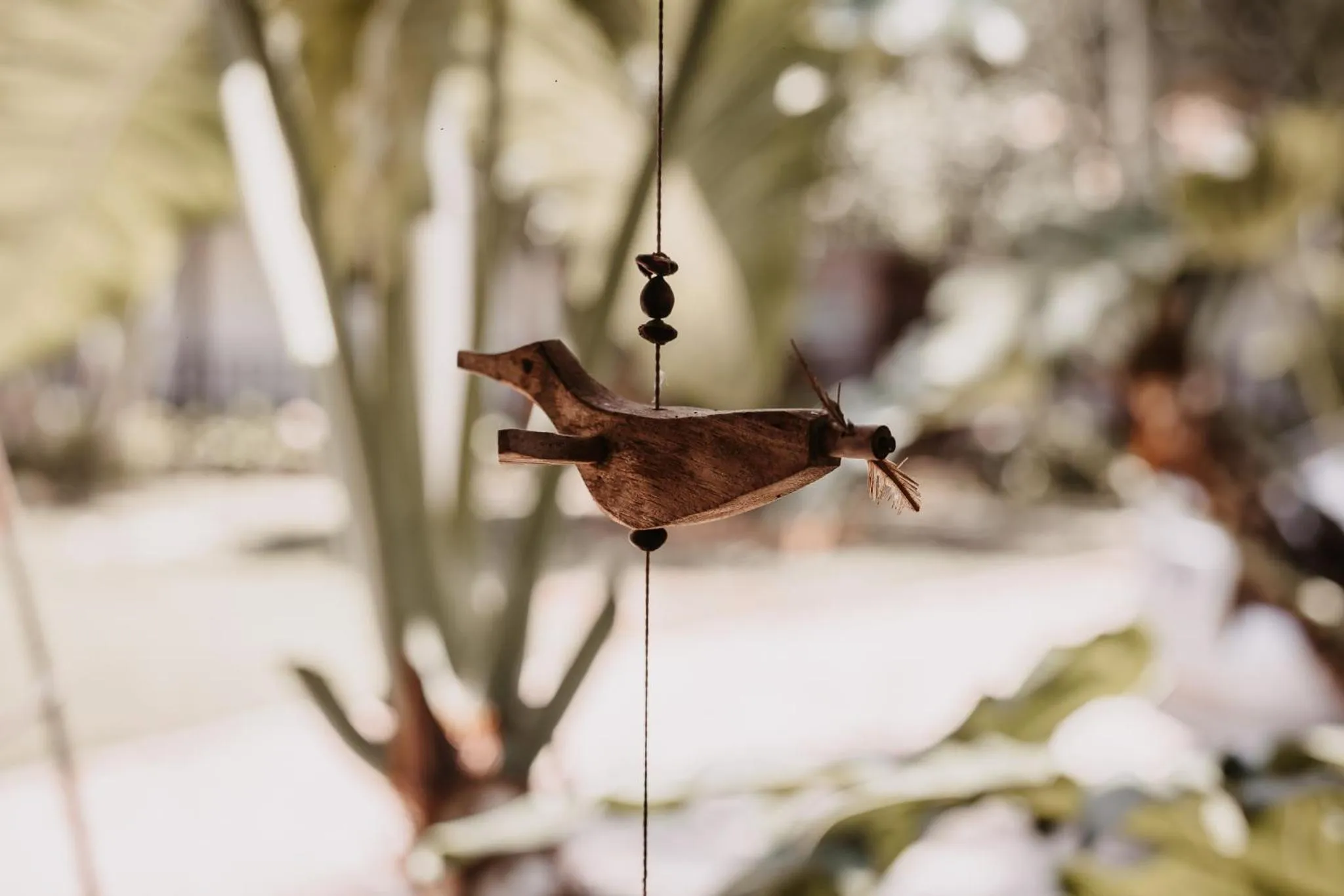 Day in Casa de Violeta Pousada