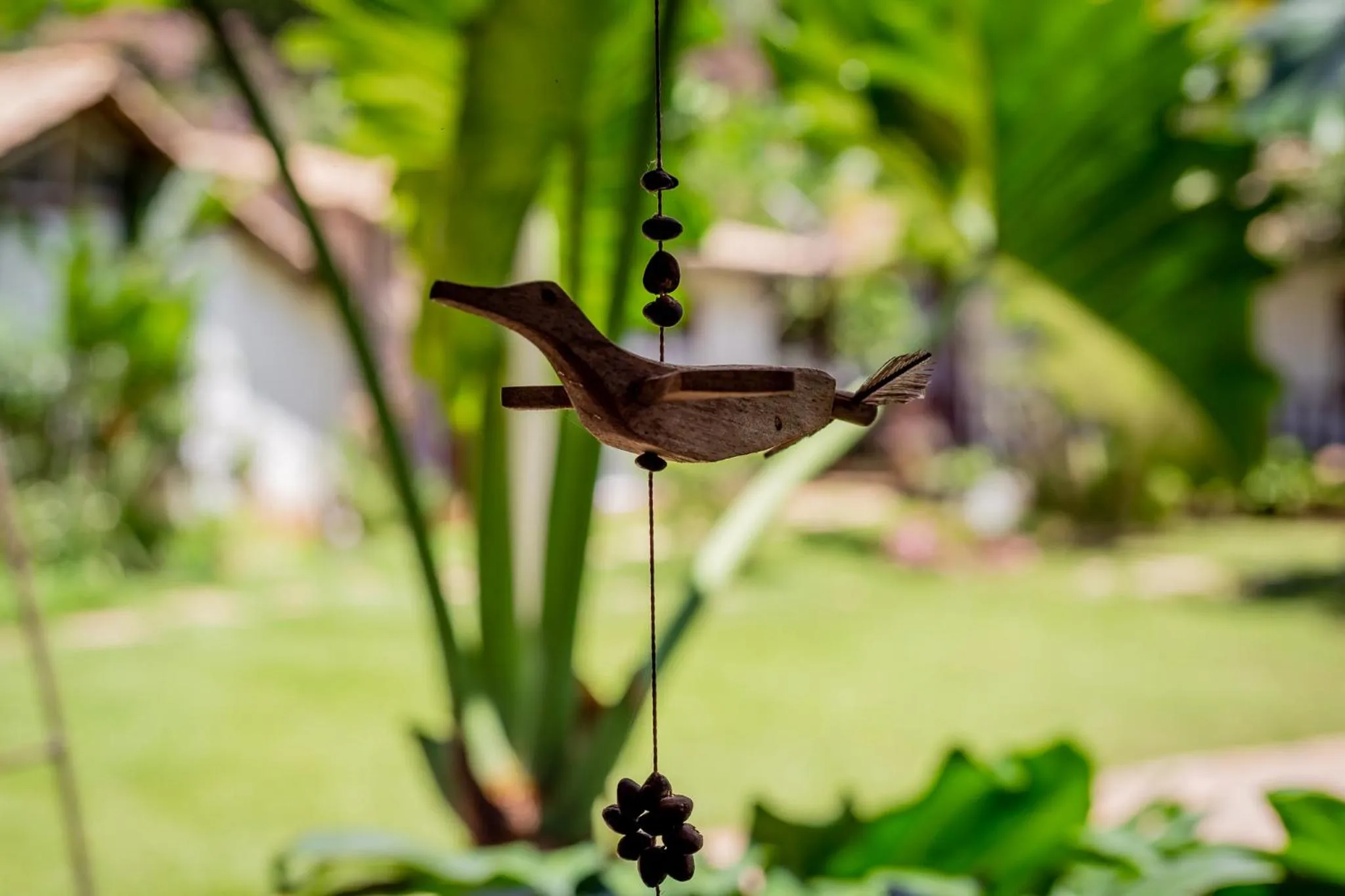 Spring in Casa de Violeta Pousada