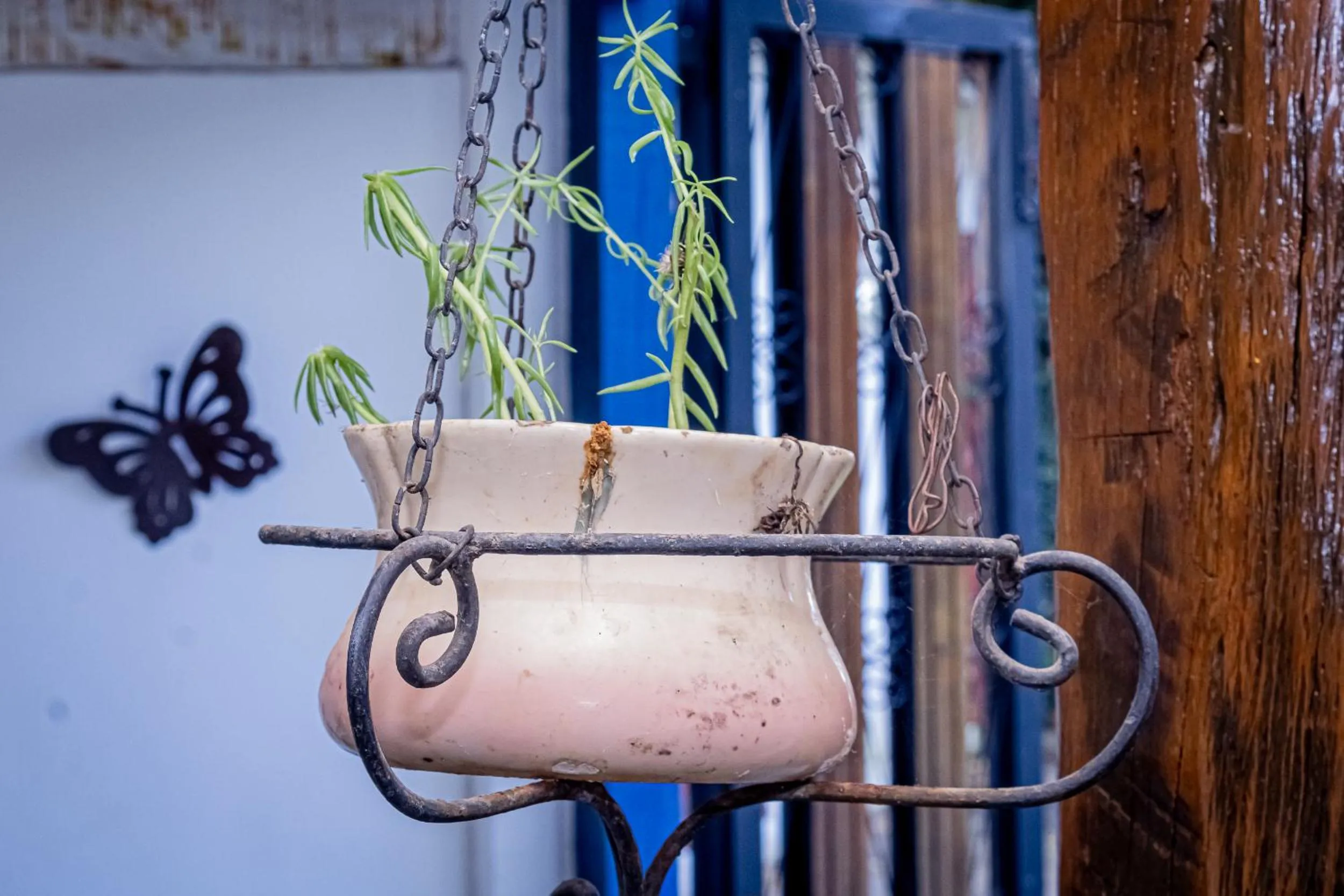 Day in Casa de Violeta Pousada