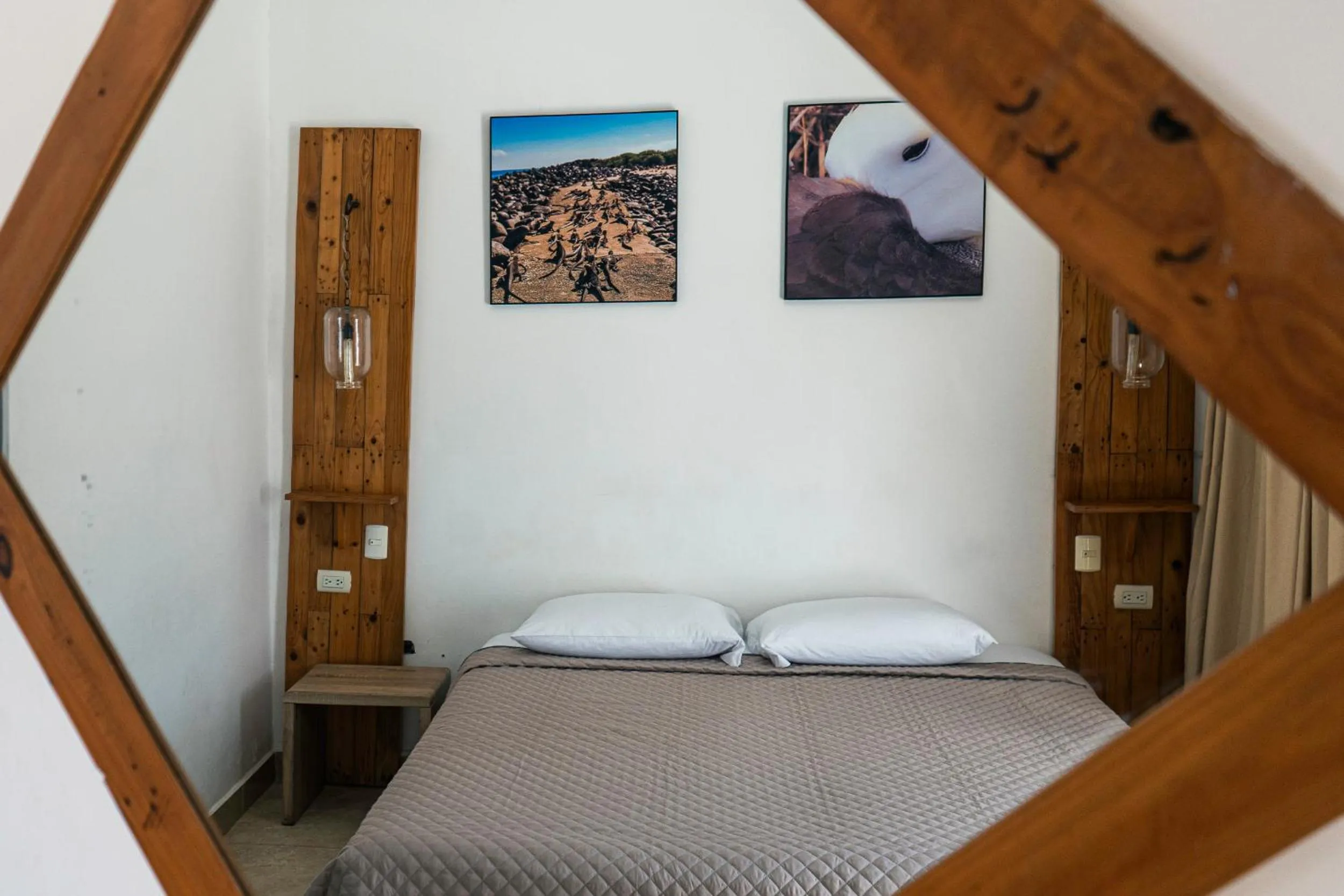 Bed in Galapagos Dreams