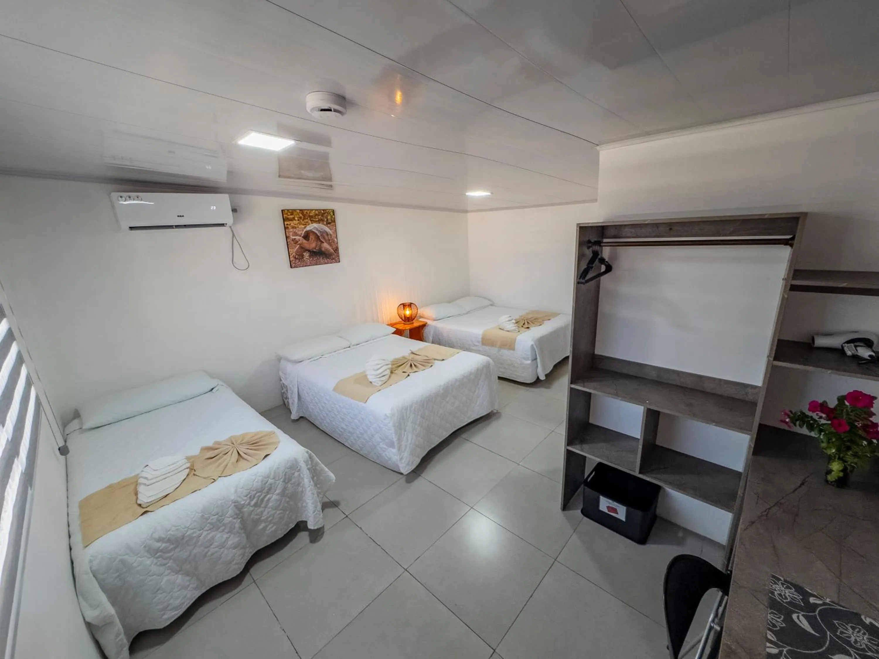 Bed in Galapagos Dreams