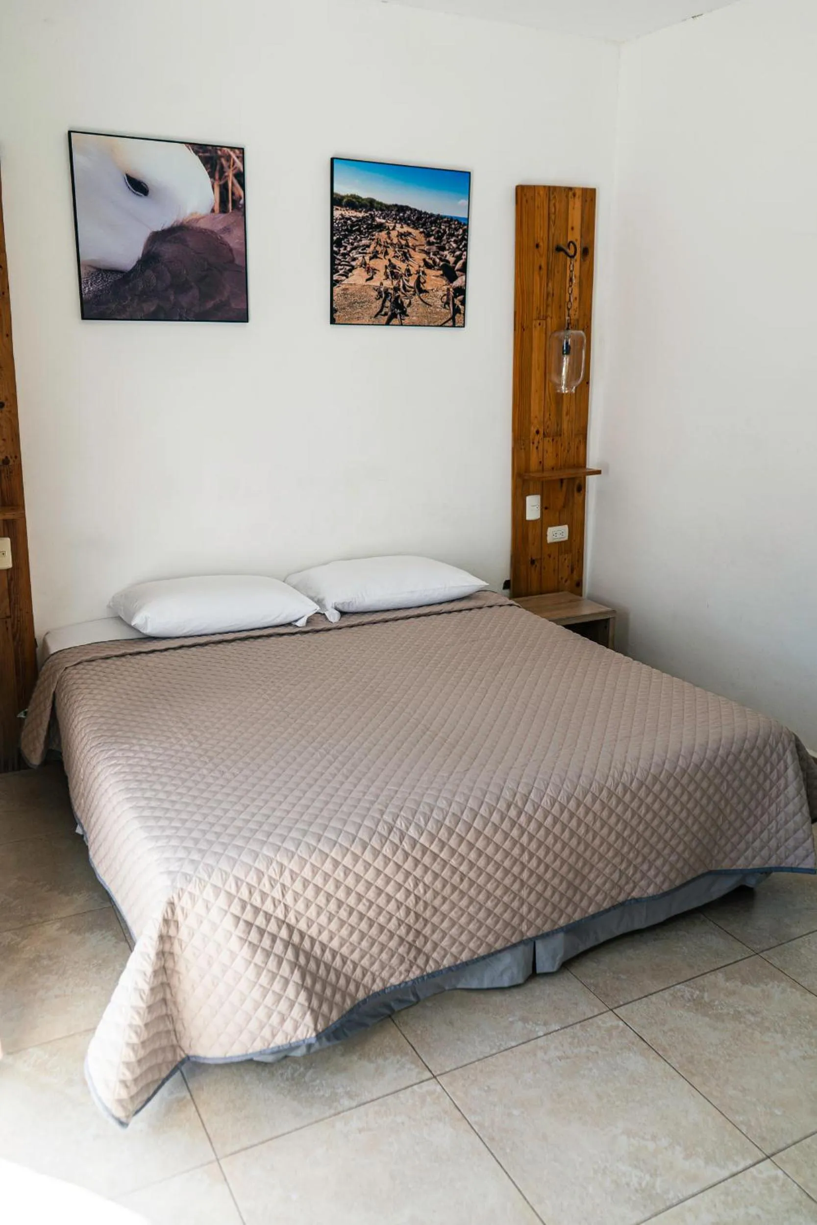 Bed in Galapagos Dreams