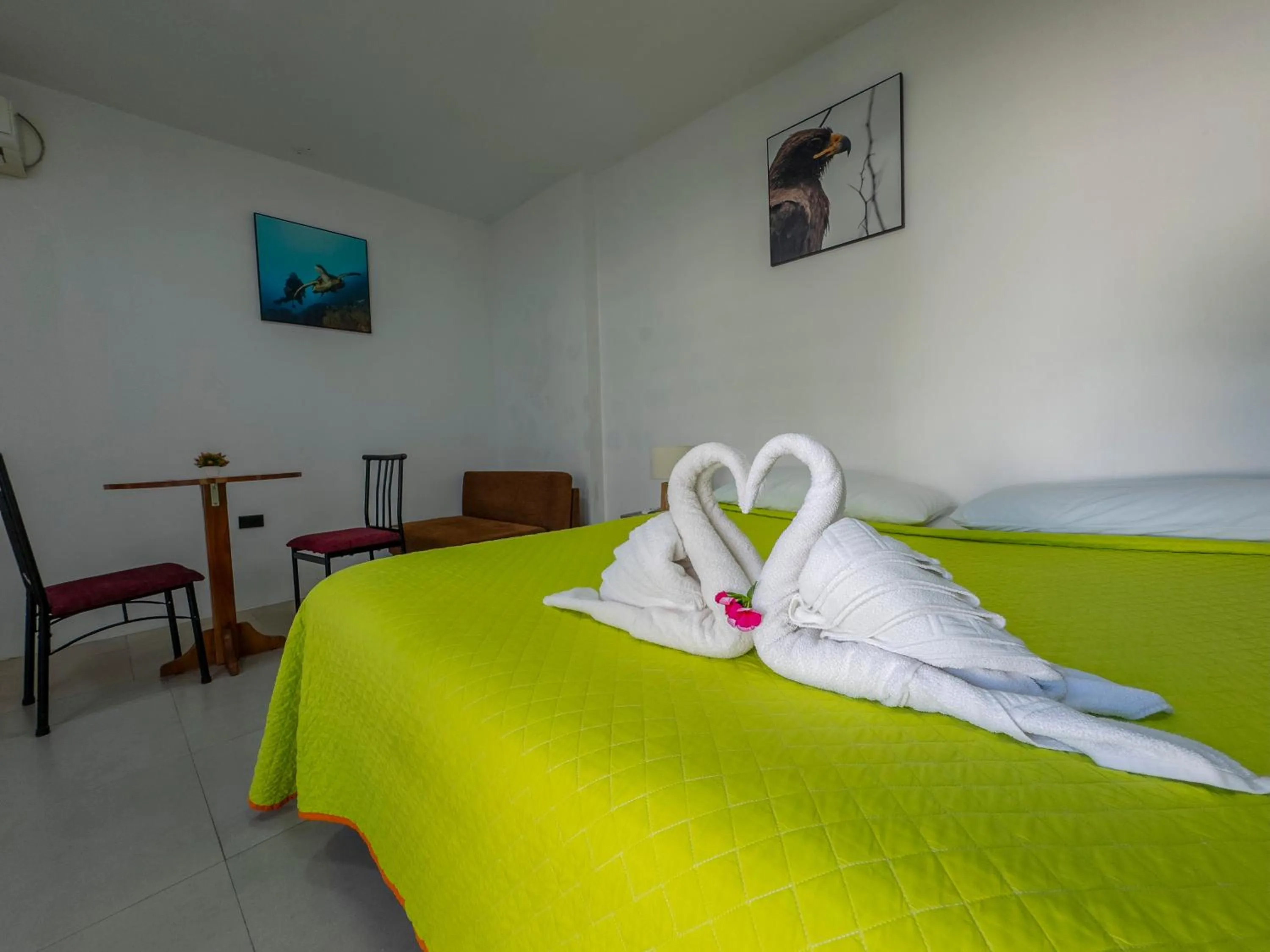 Bed in Galapagos Dreams