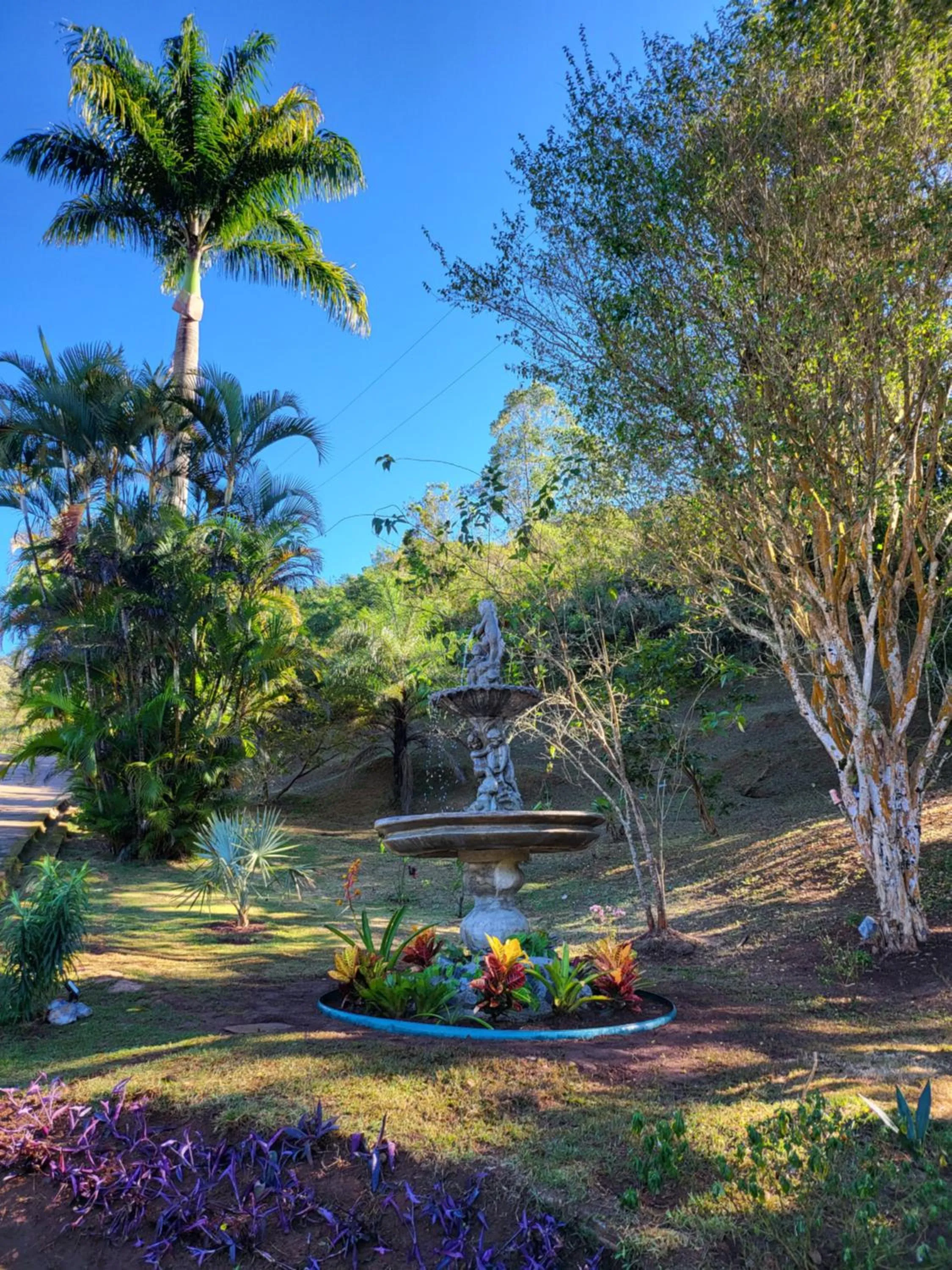Garden view in Pousada Boutique Chico Anjo