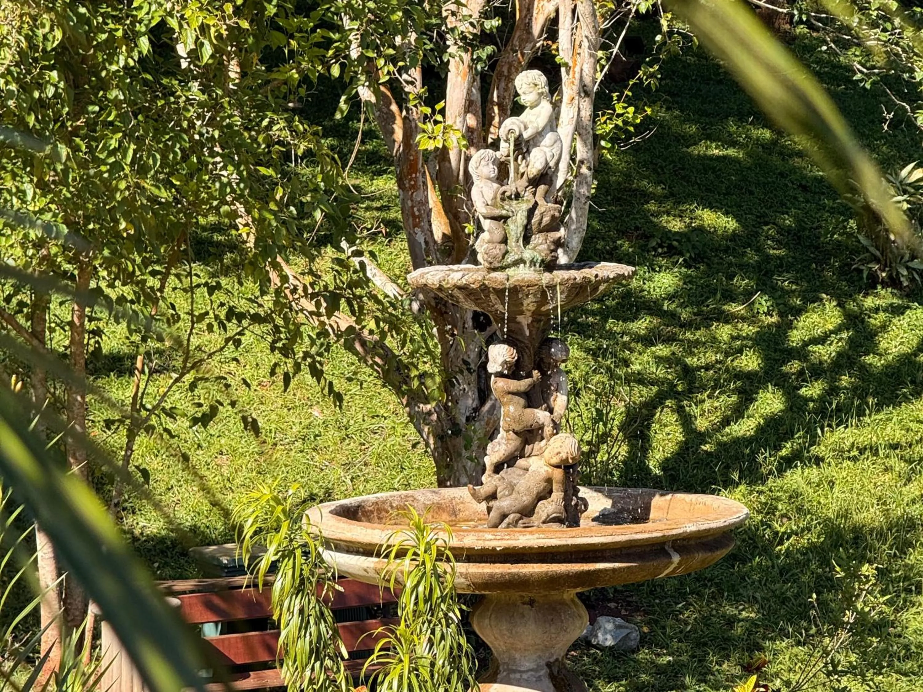 Garden in Pousada Boutique Chico Anjo