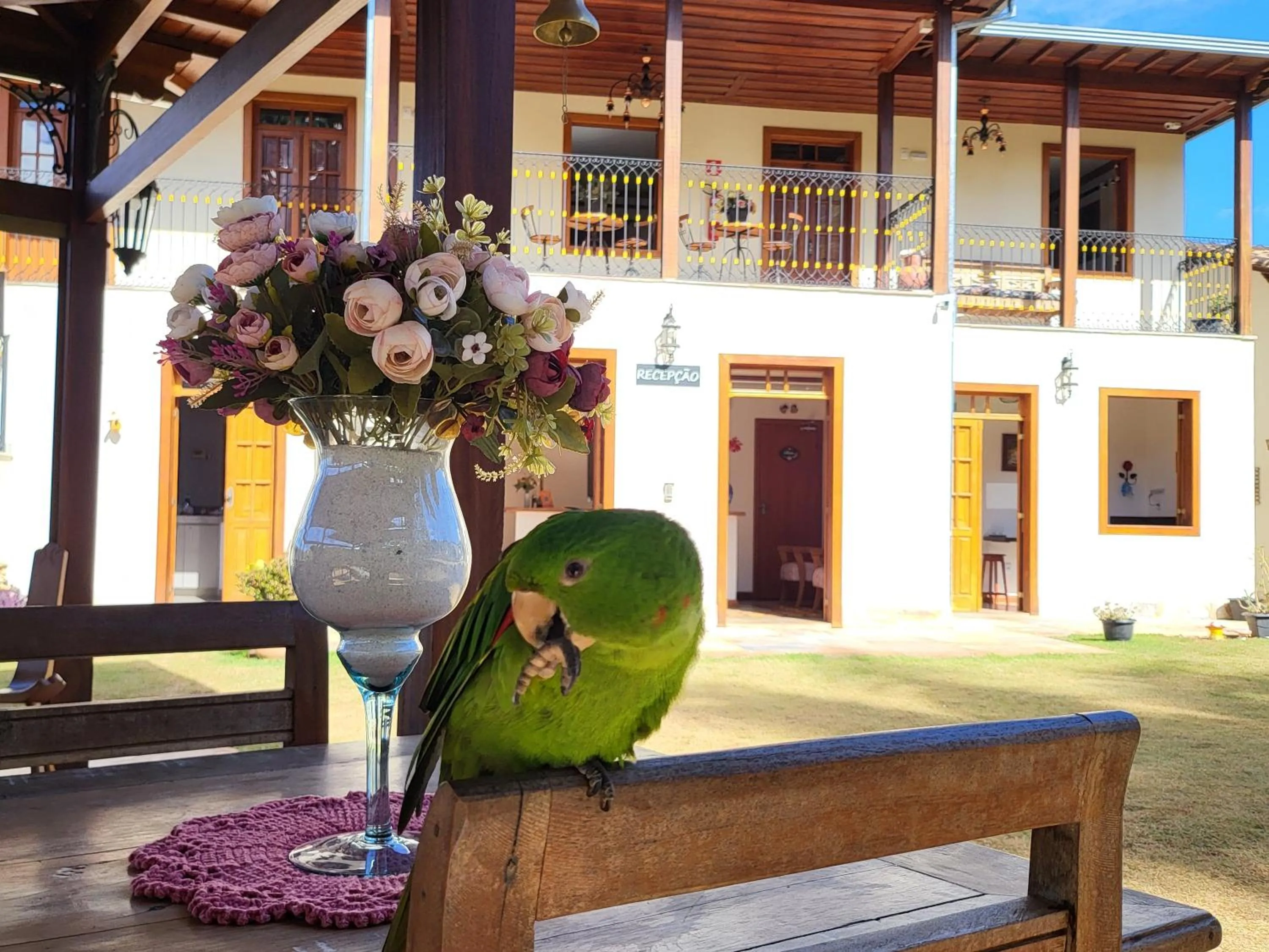 View (from property/room) in Pousada Boutique Chico Anjo