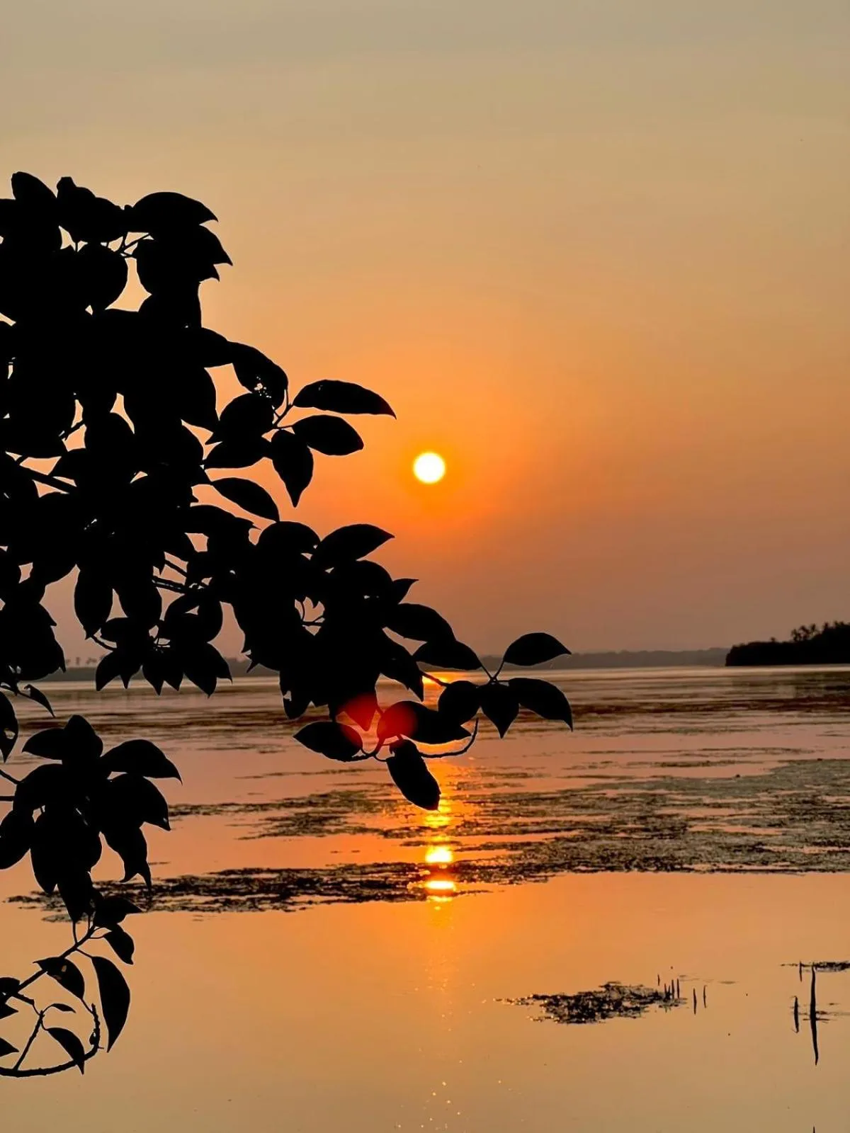 Ashansa Lagoon Resort