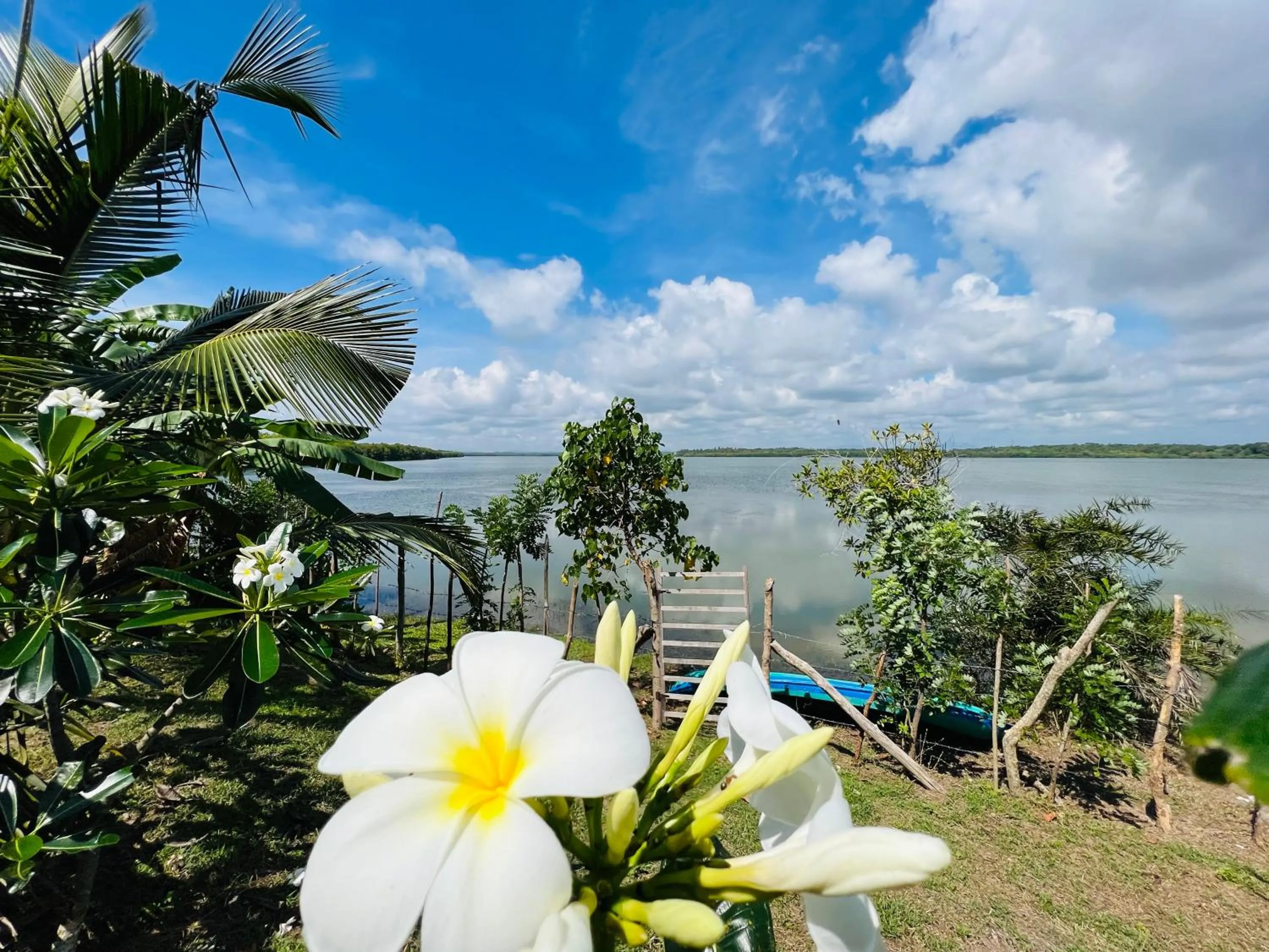 Ashansa Lagoon Resort