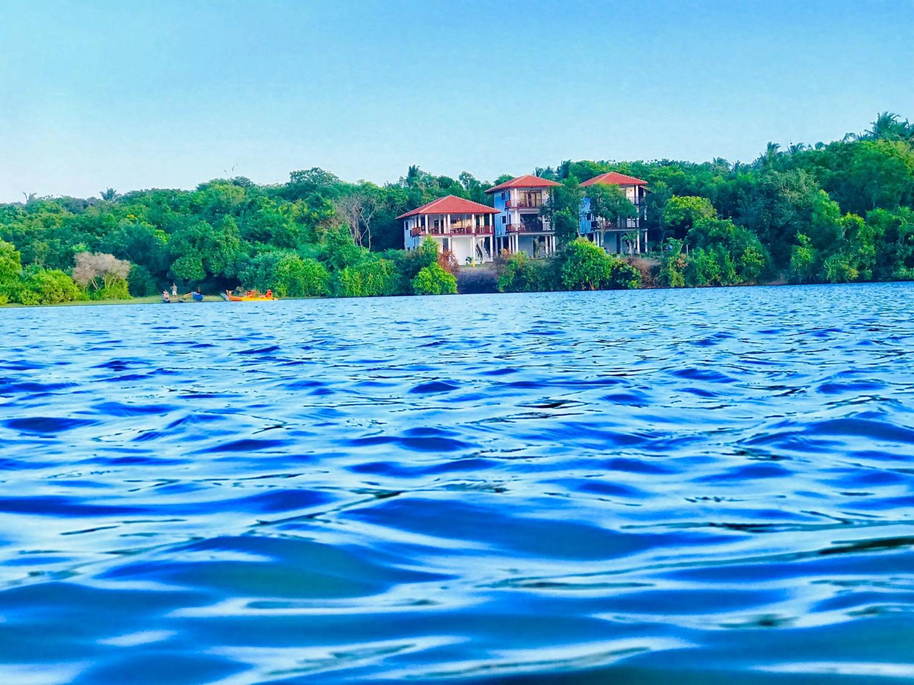 Natural landscape in Ashansa Lagoon Resort