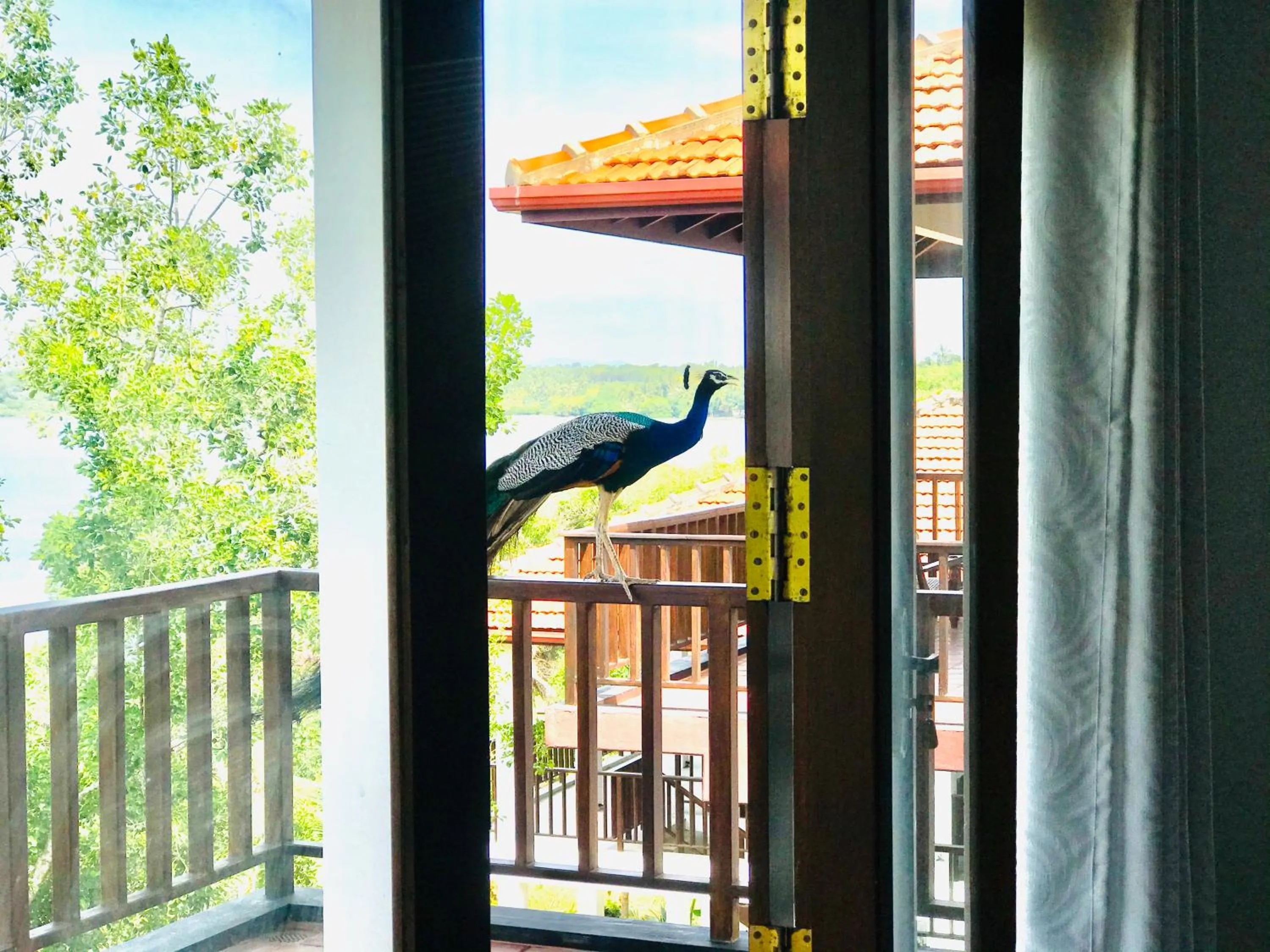 Ashansa Lagoon Resort