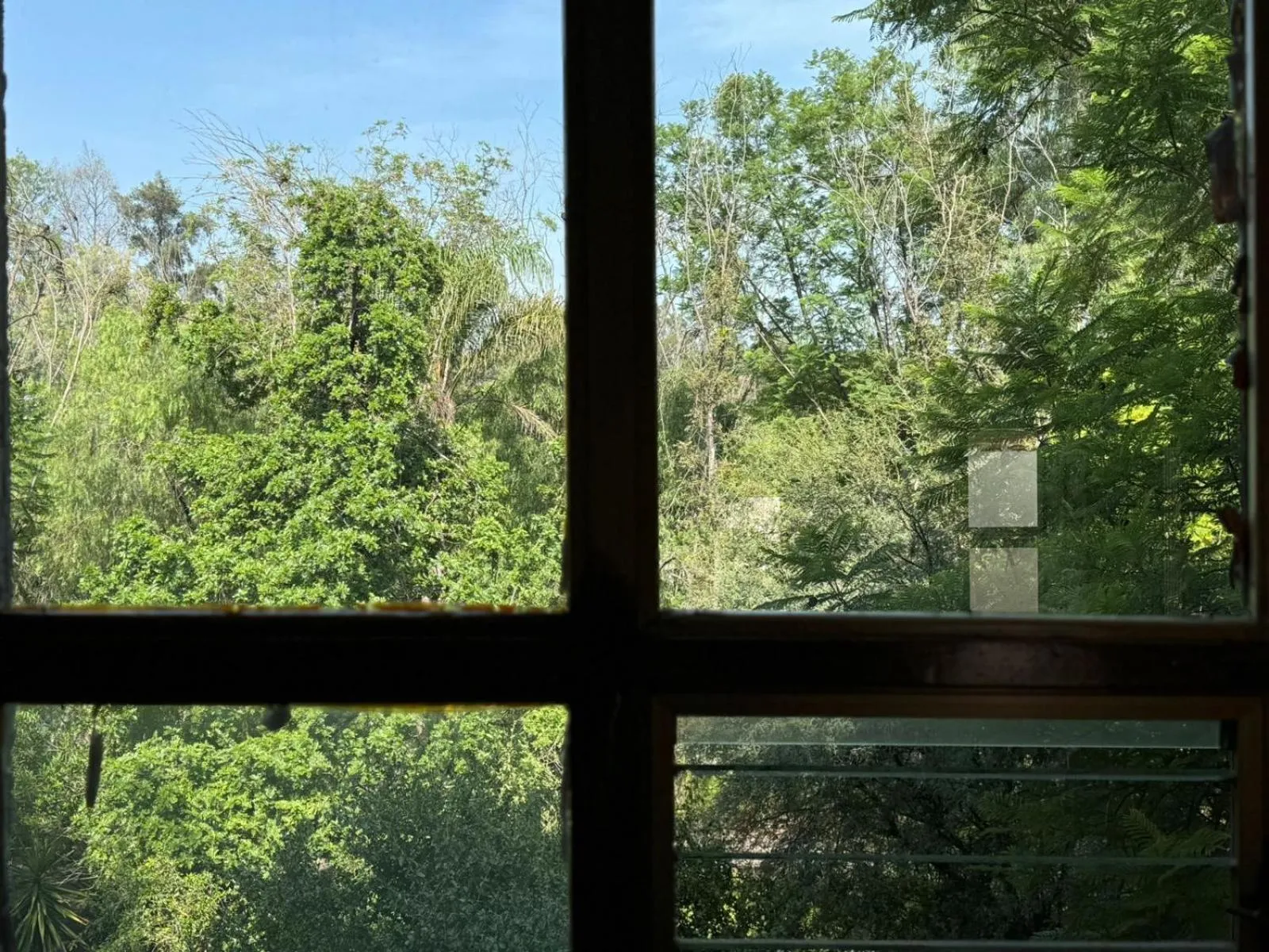 Garden in Hotel Ex Hacienda La Pitaya Querétaro