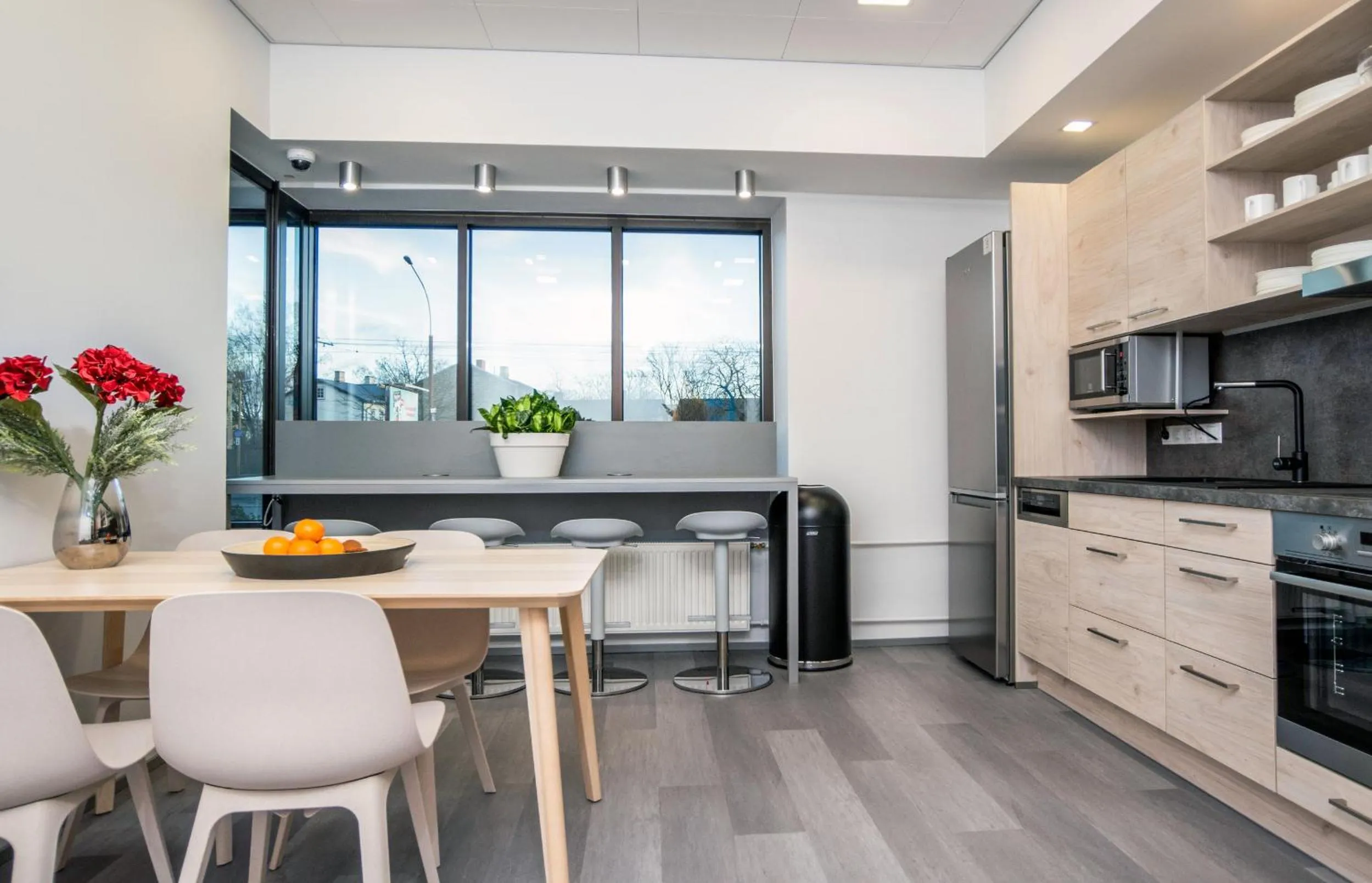 Kitchen or kitchenette in Capsule Hostels Tallinn