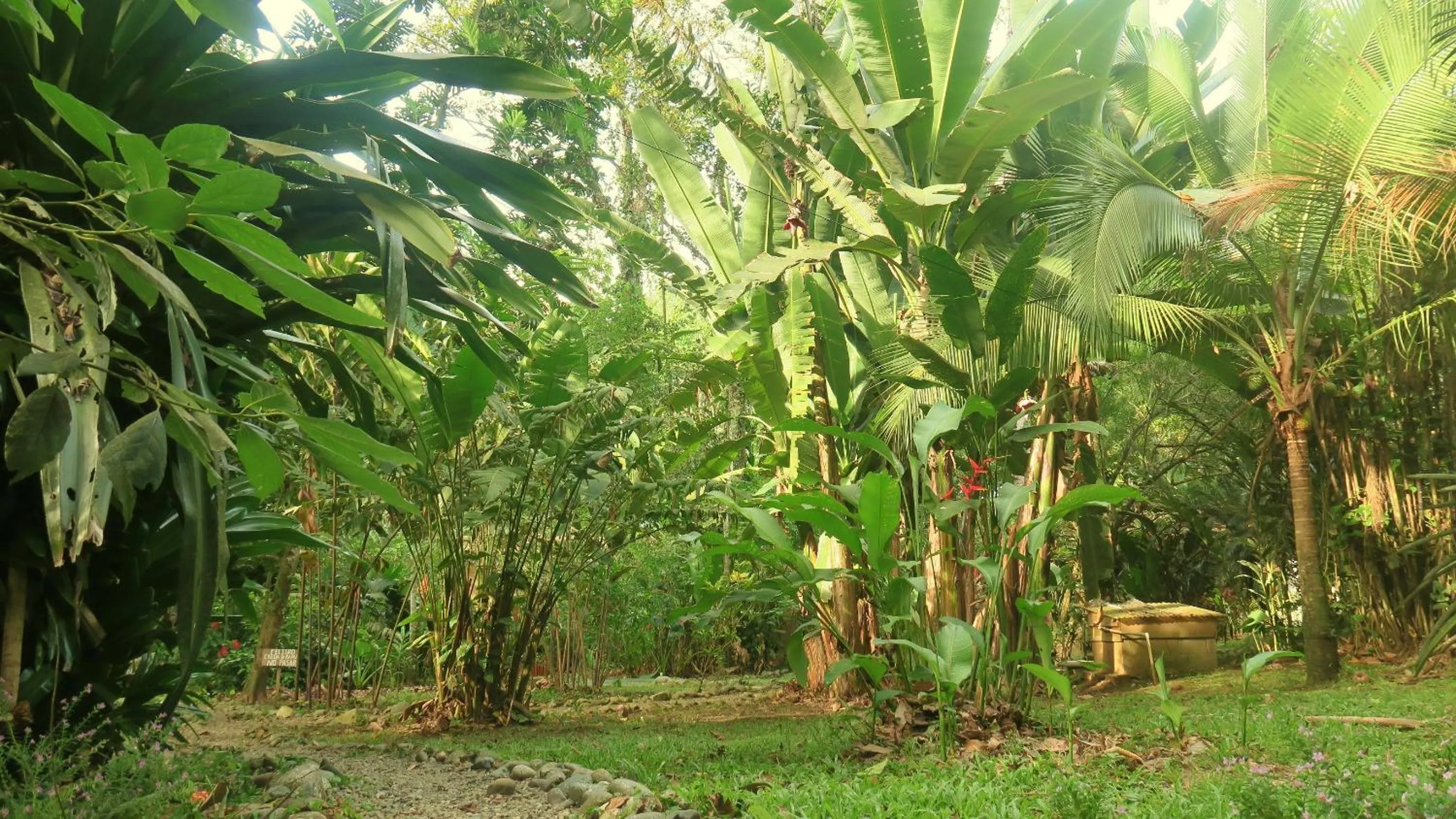 Property building in Casa Moabi