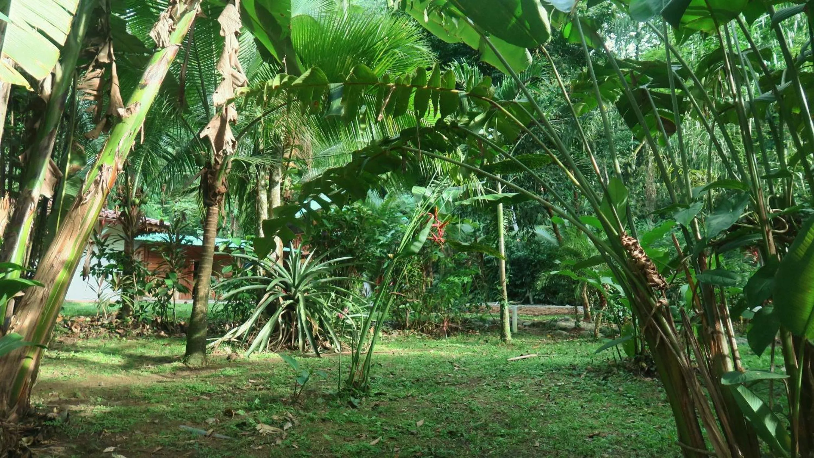 Property building in Casa Moabi