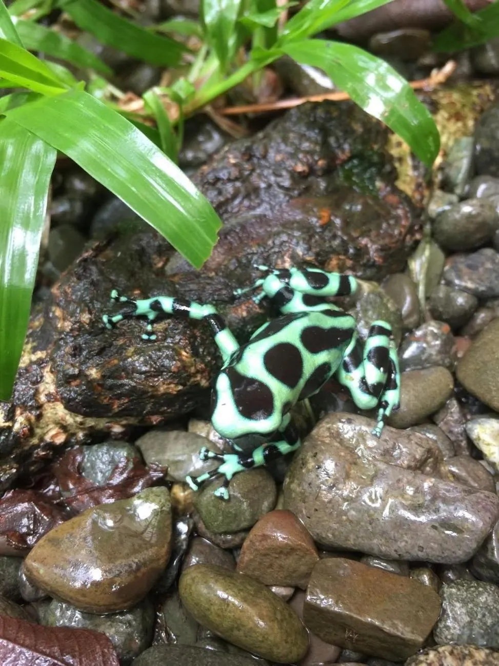 Property building in Casa Moabi