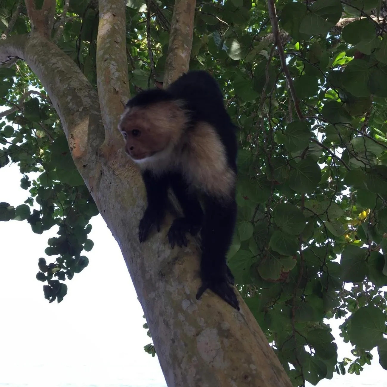 Property building in Casa Moabi