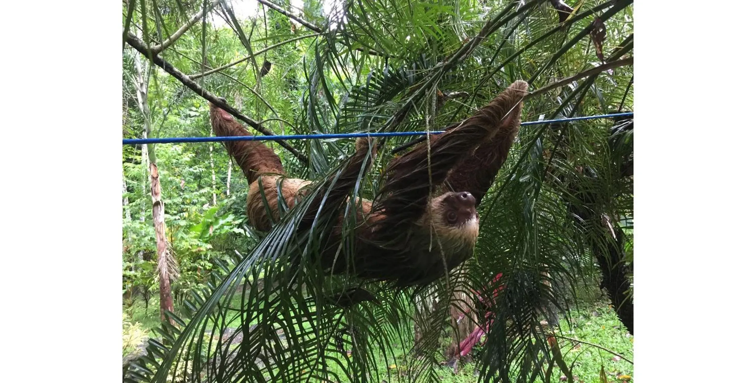 Property building in Casa Moabi