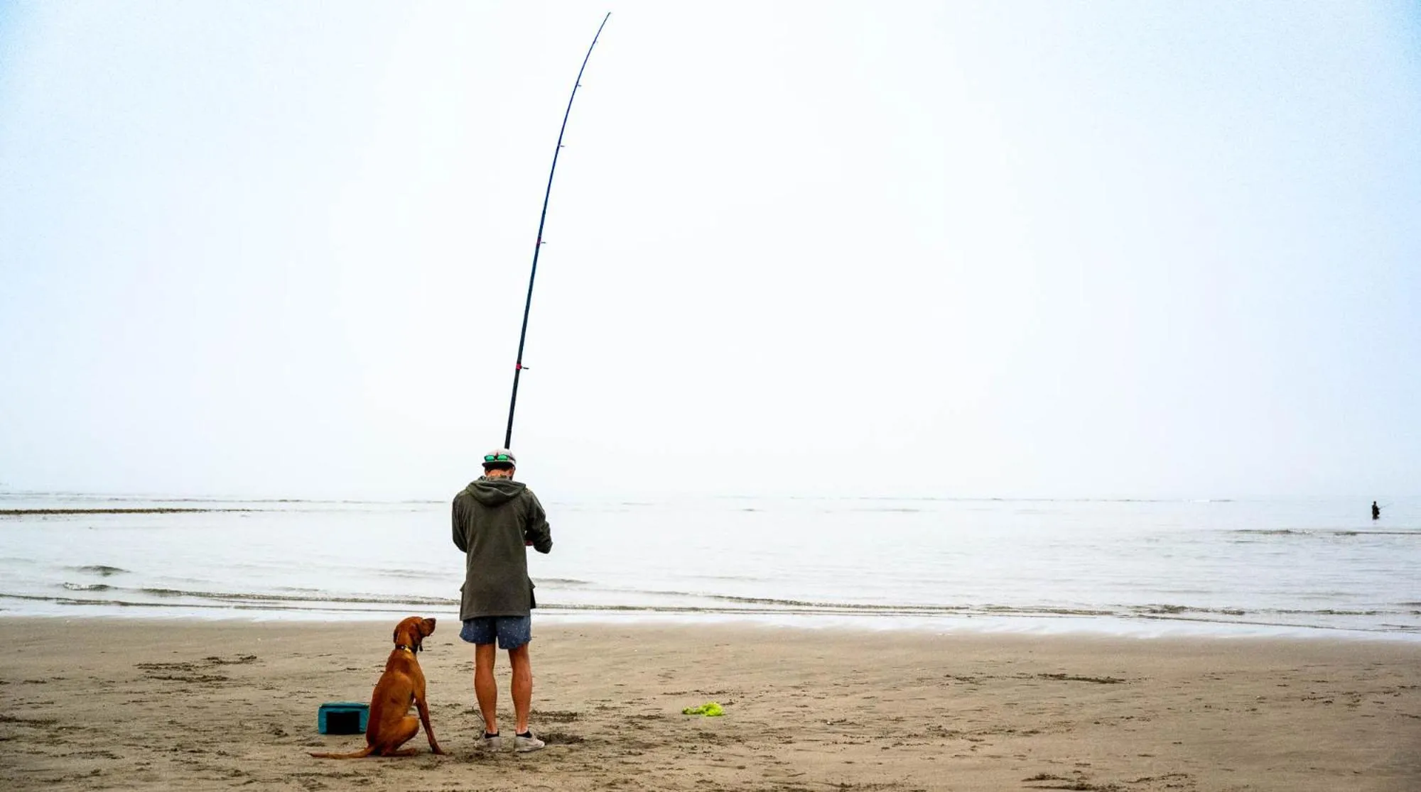 Fishing in Windhover Estate