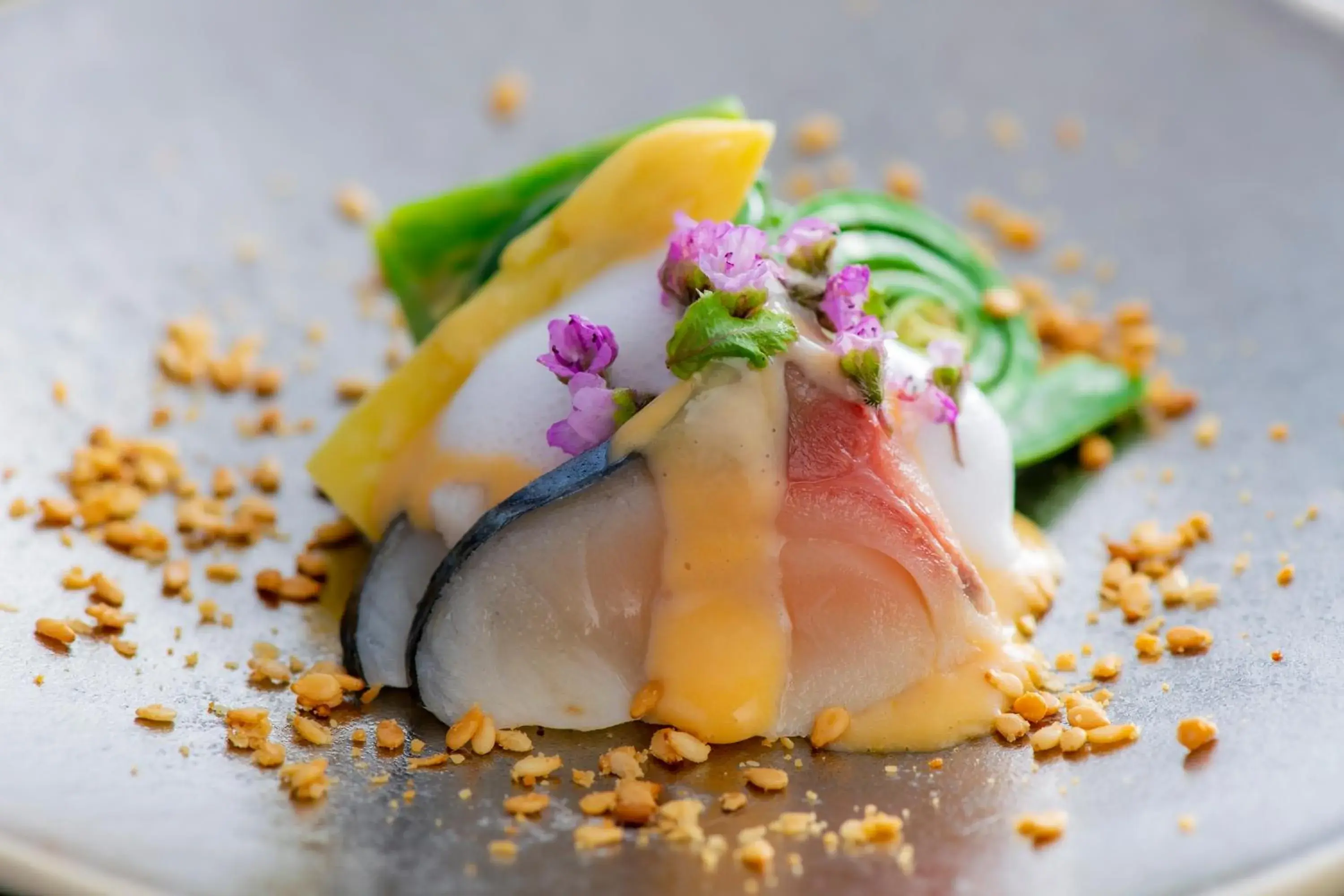 Food close-up in Shiragiku Food close-up in Shiragiku