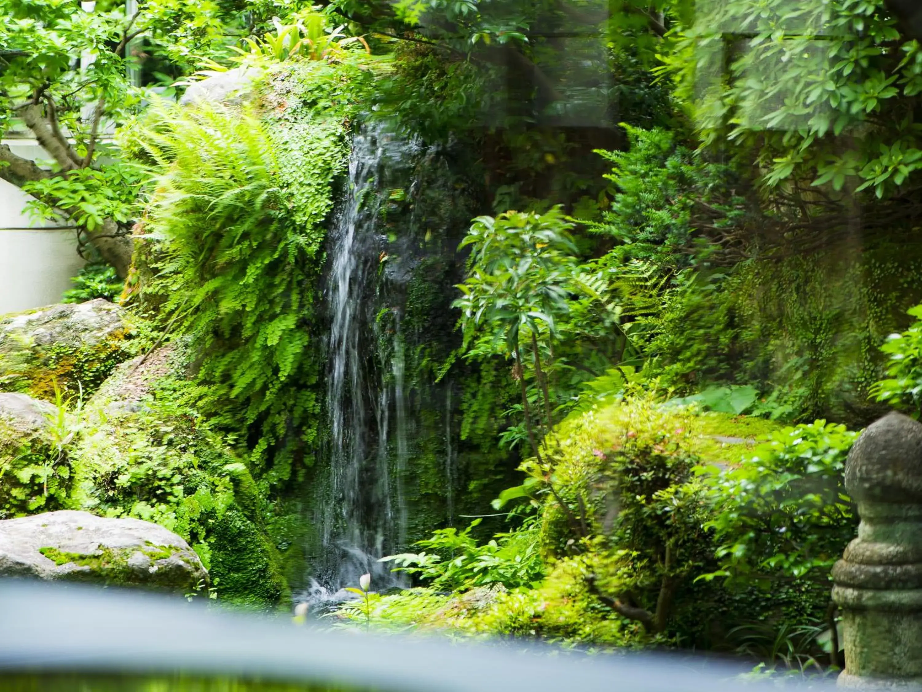 Restaurant/places to eat in Shiragiku Restaurant/places to eat in Shiragiku