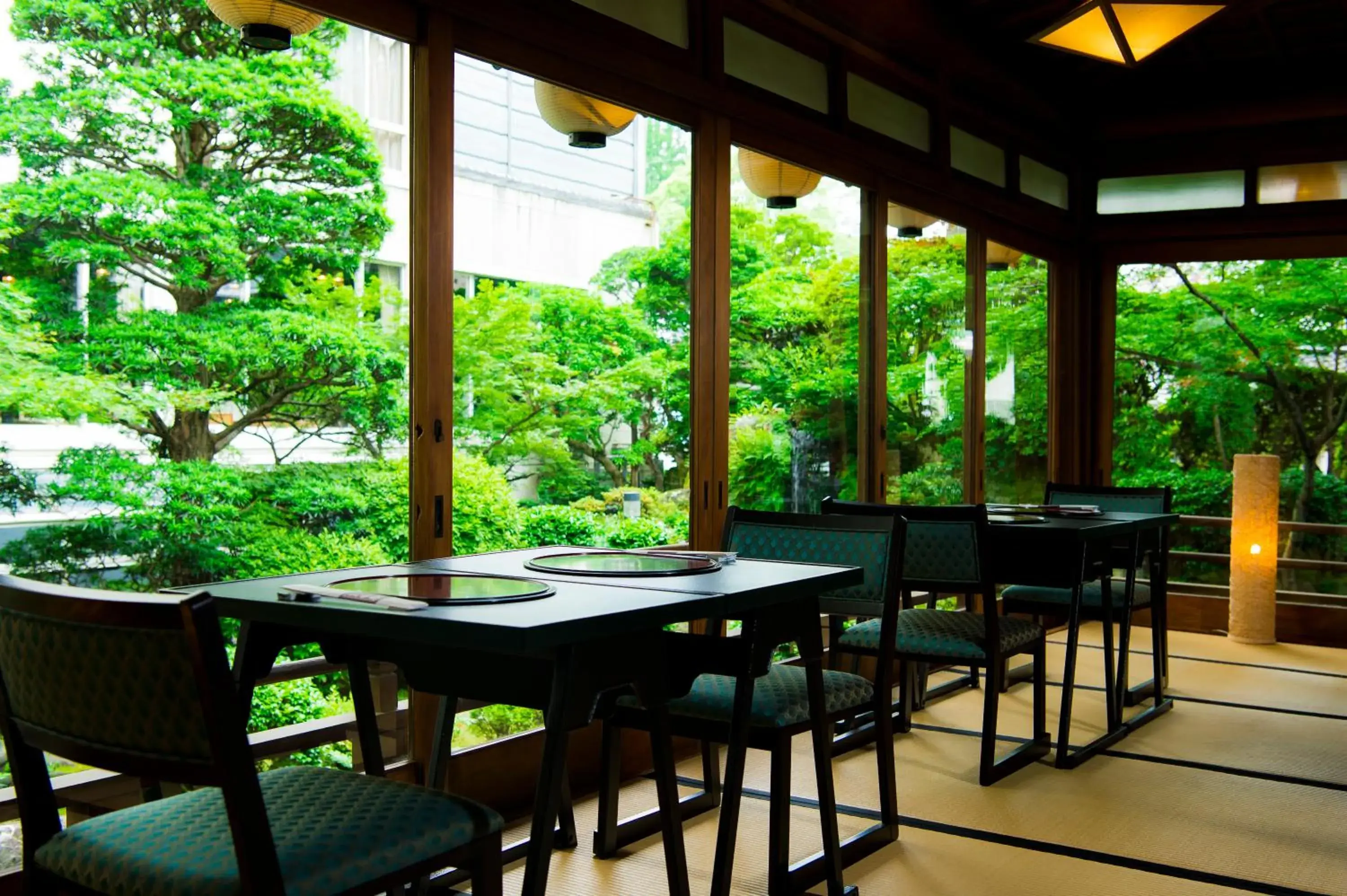 Restaurant/places to eat in Shiragiku Restaurant/places to eat in Shiragiku