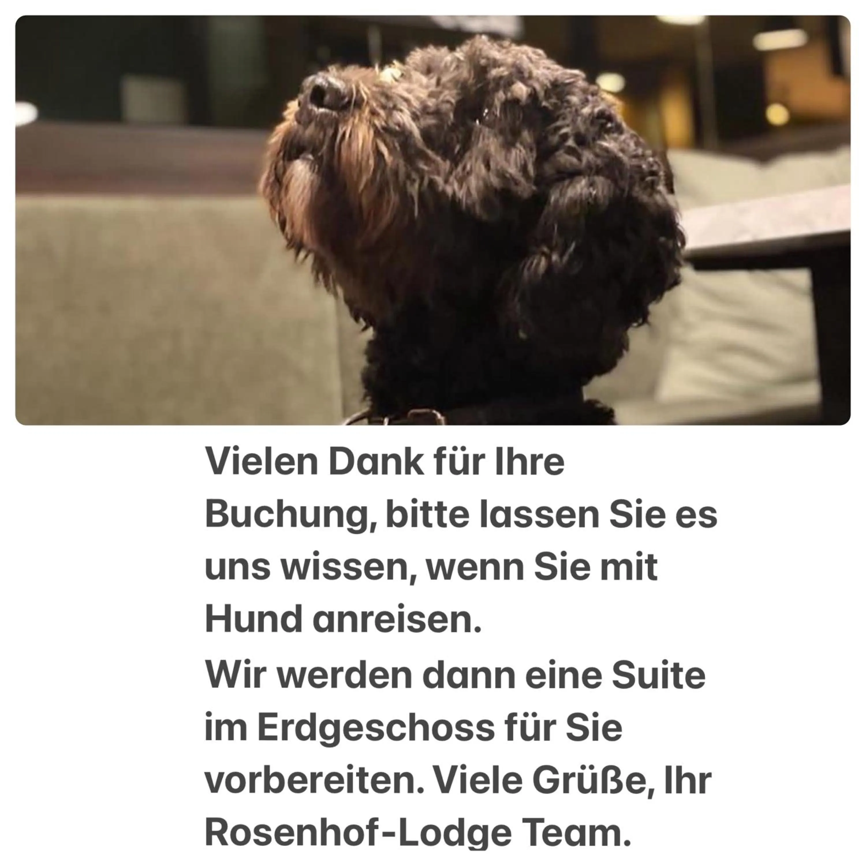 Text overlay in Rosenhof-Lodge