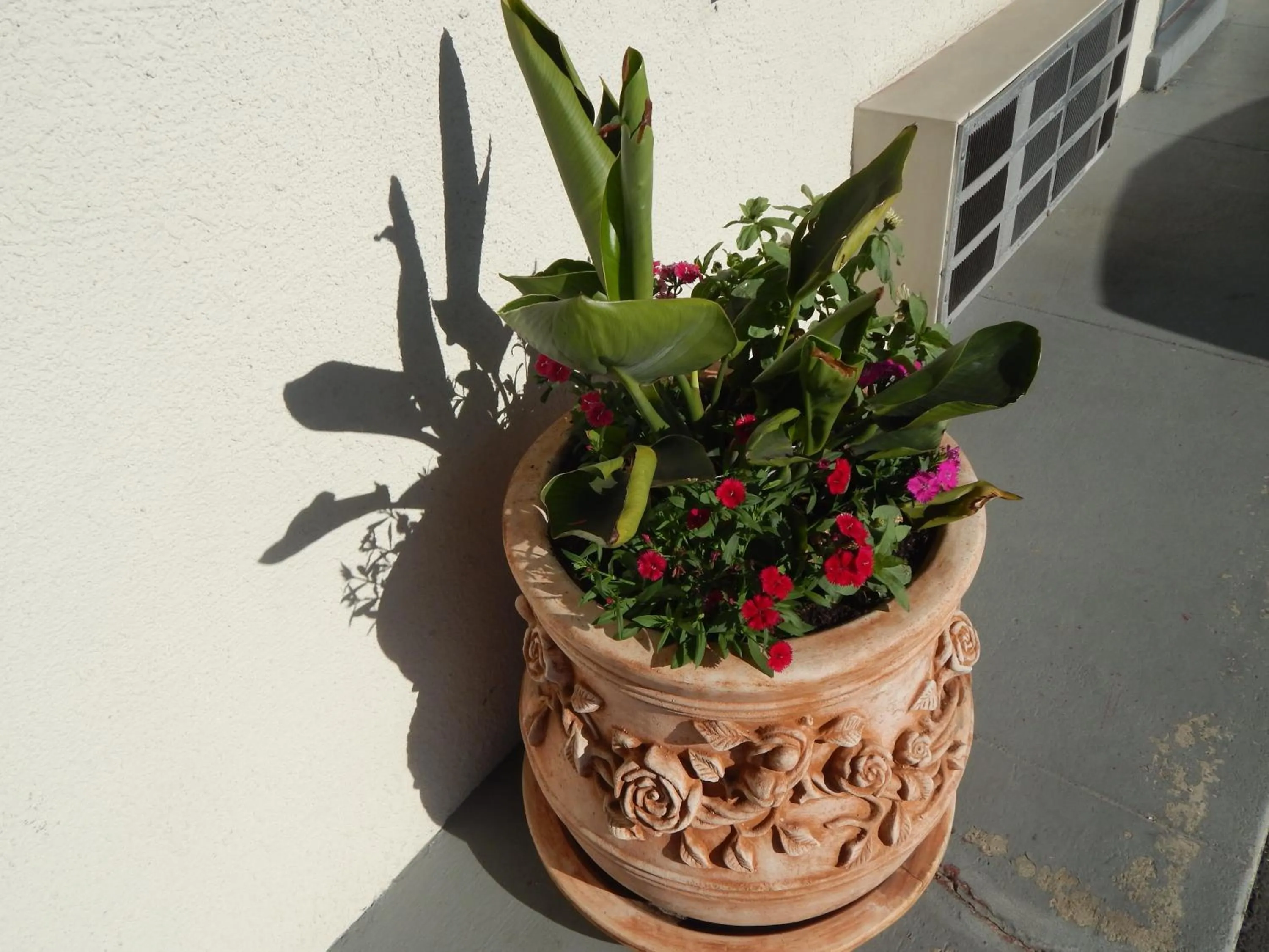 Other in Bay Bridge Inn Oakland