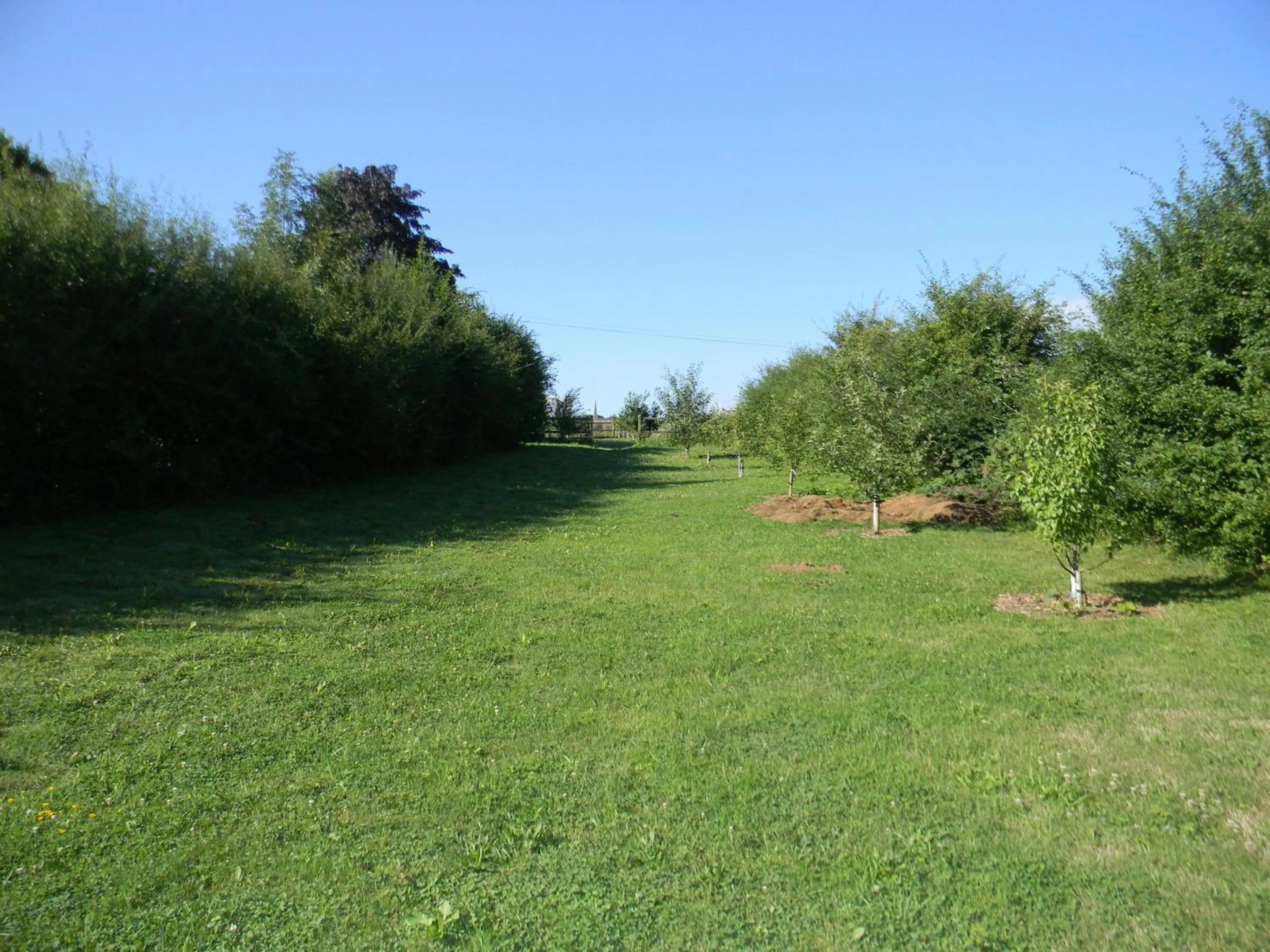 Natural landscape in Maison Magdala