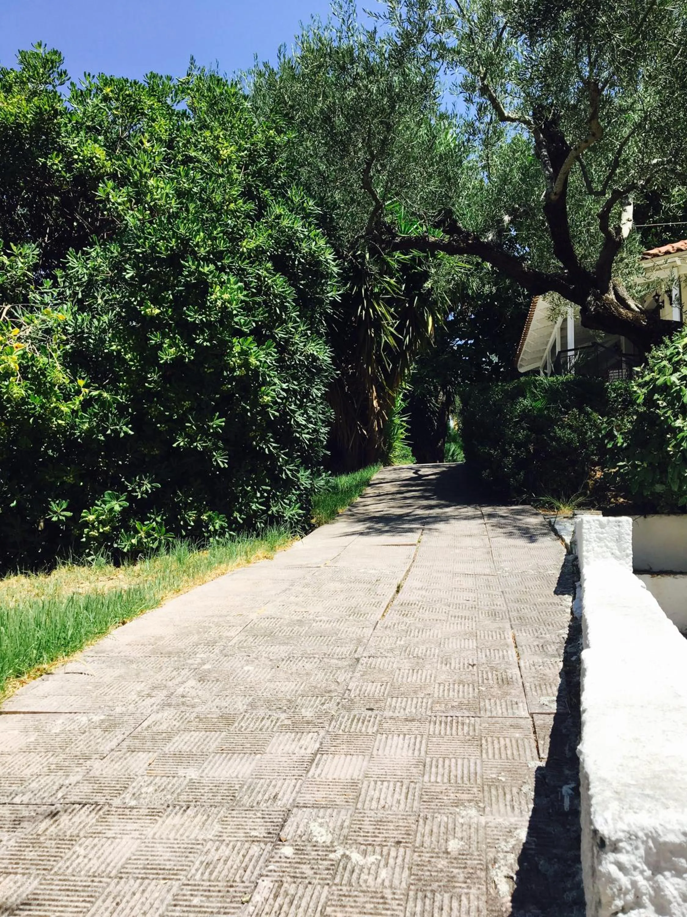 Natural landscape in Lofos Strani