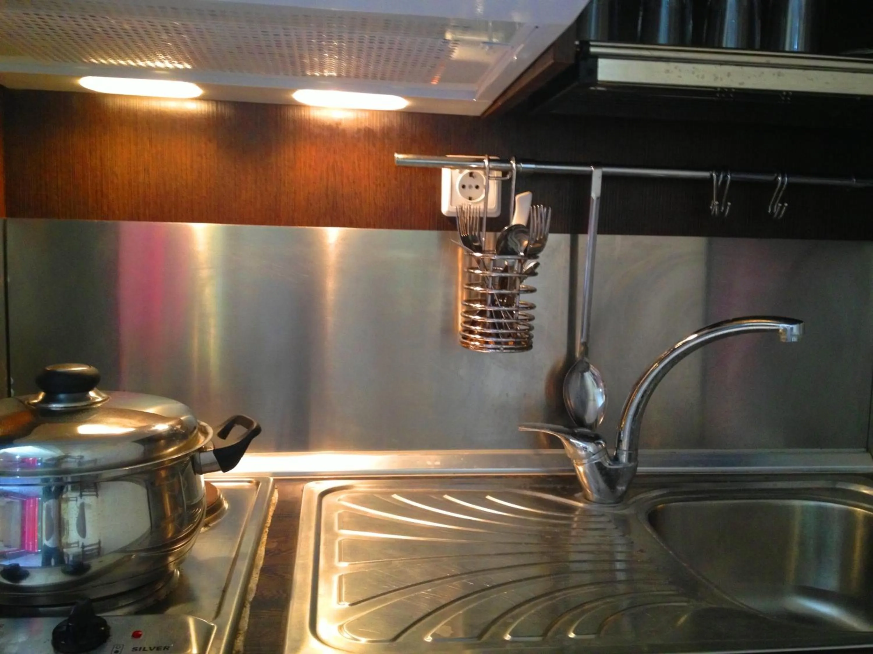 Kitchen or kitchenette in Lofos Strani