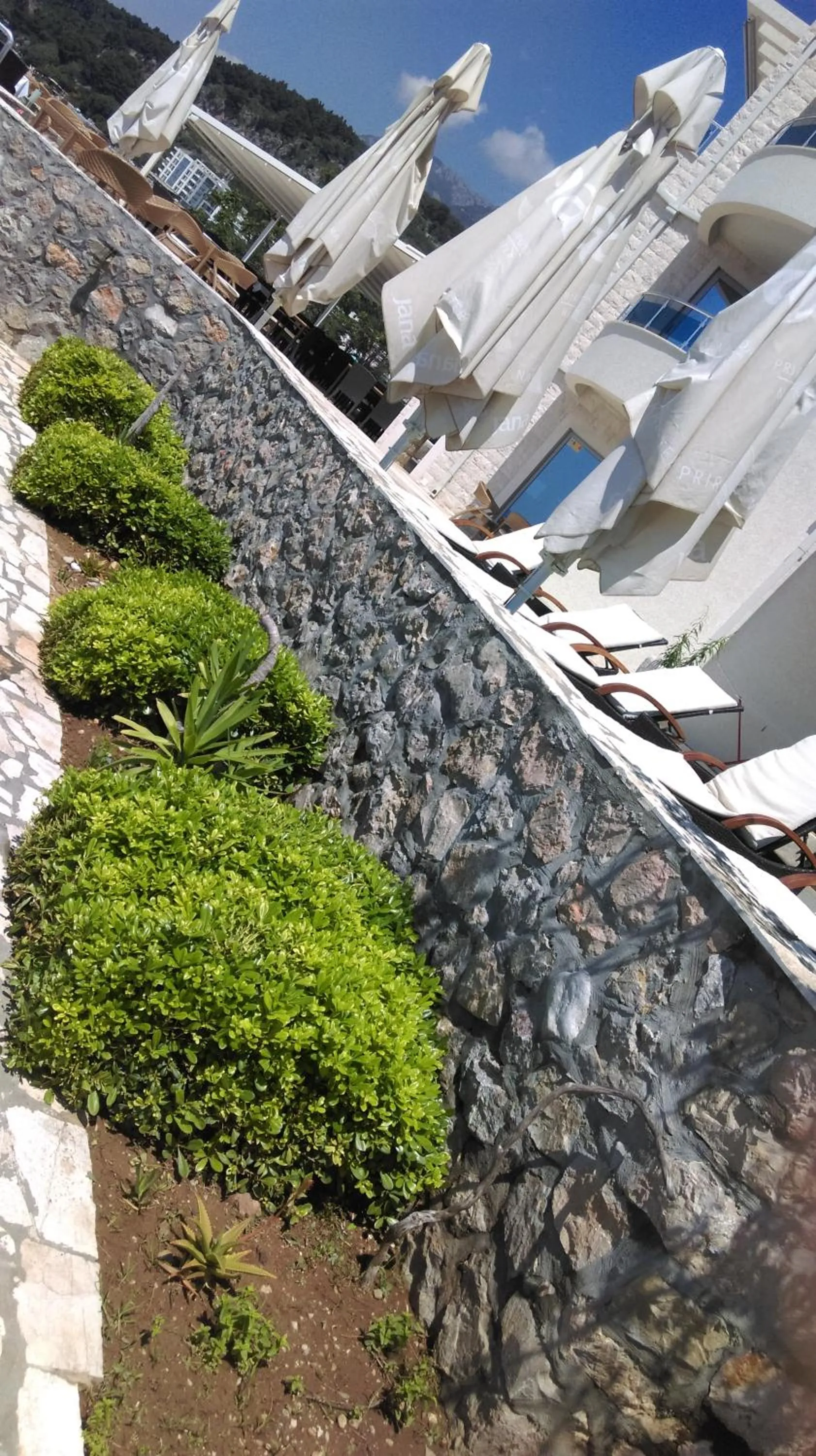 Garden in Love Live Hotel