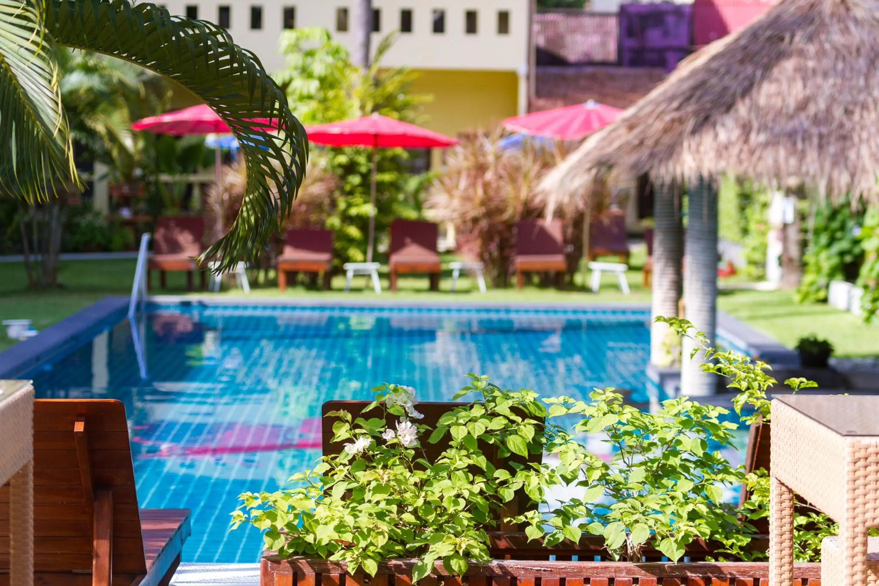 Garden in Austrian Garden Hotel & Restaurant Patong