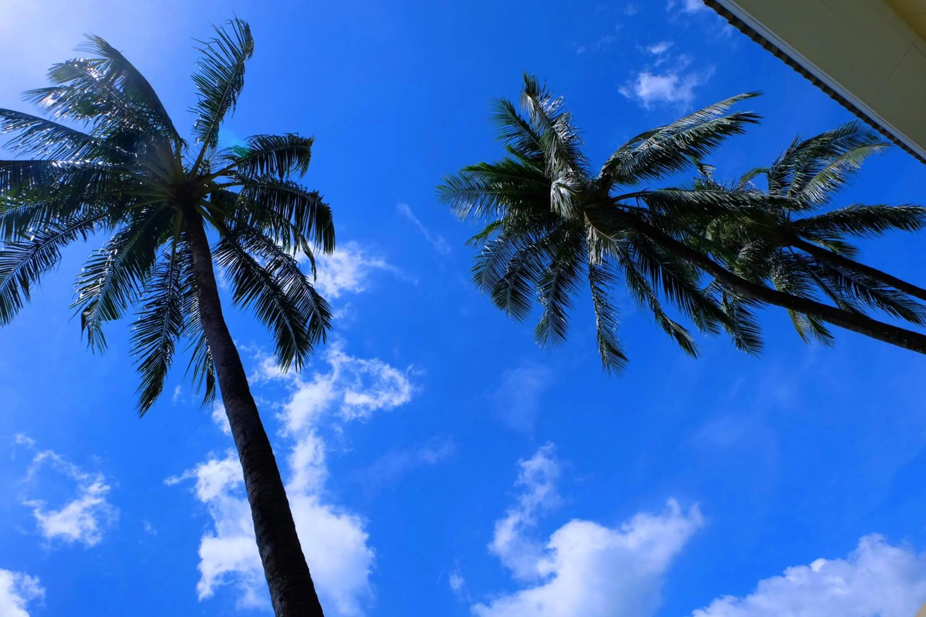 Garden in Austrian Garden Hotel & Restaurant Patong