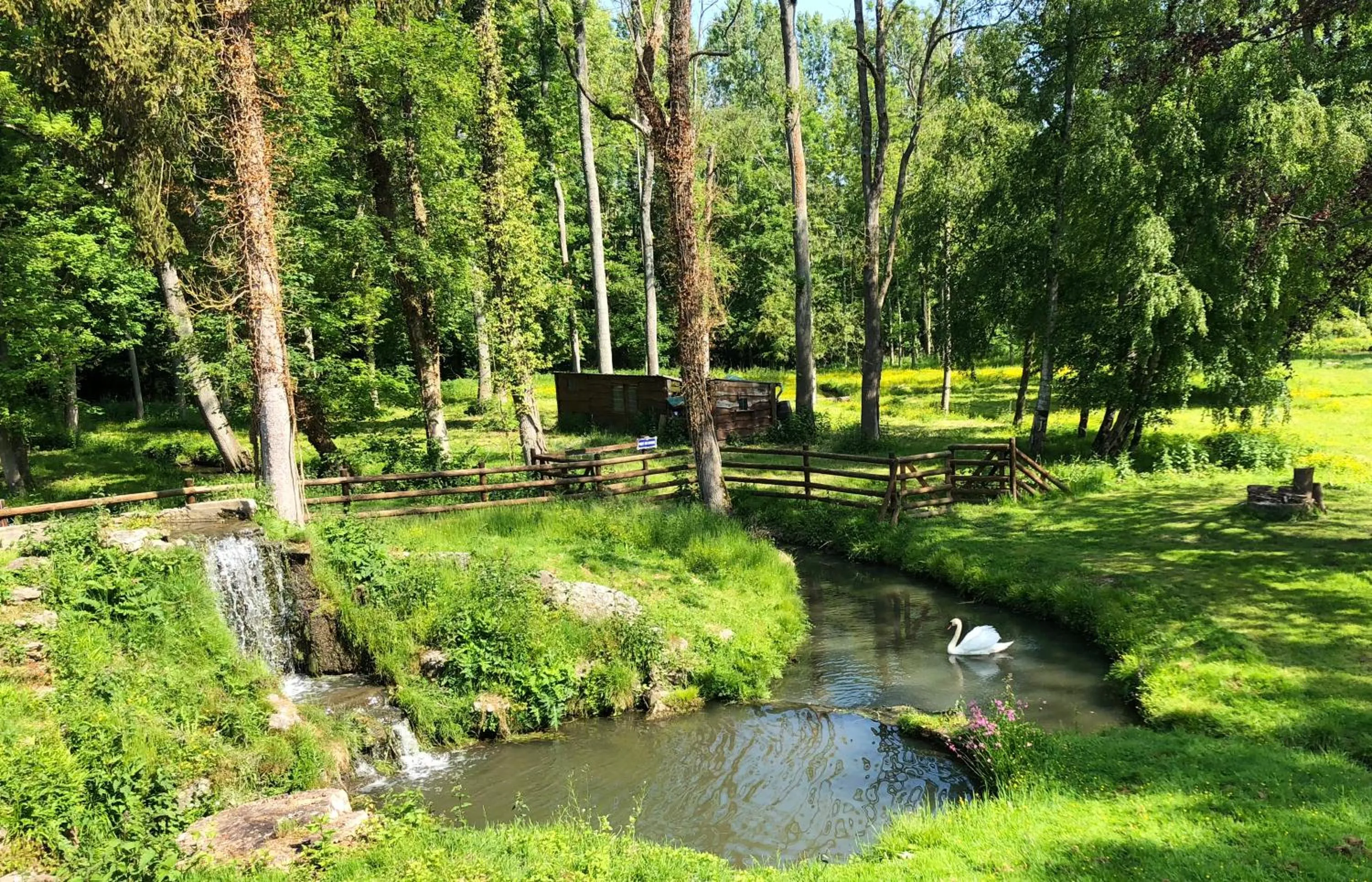 Natural landscape in Domaine du Plessis