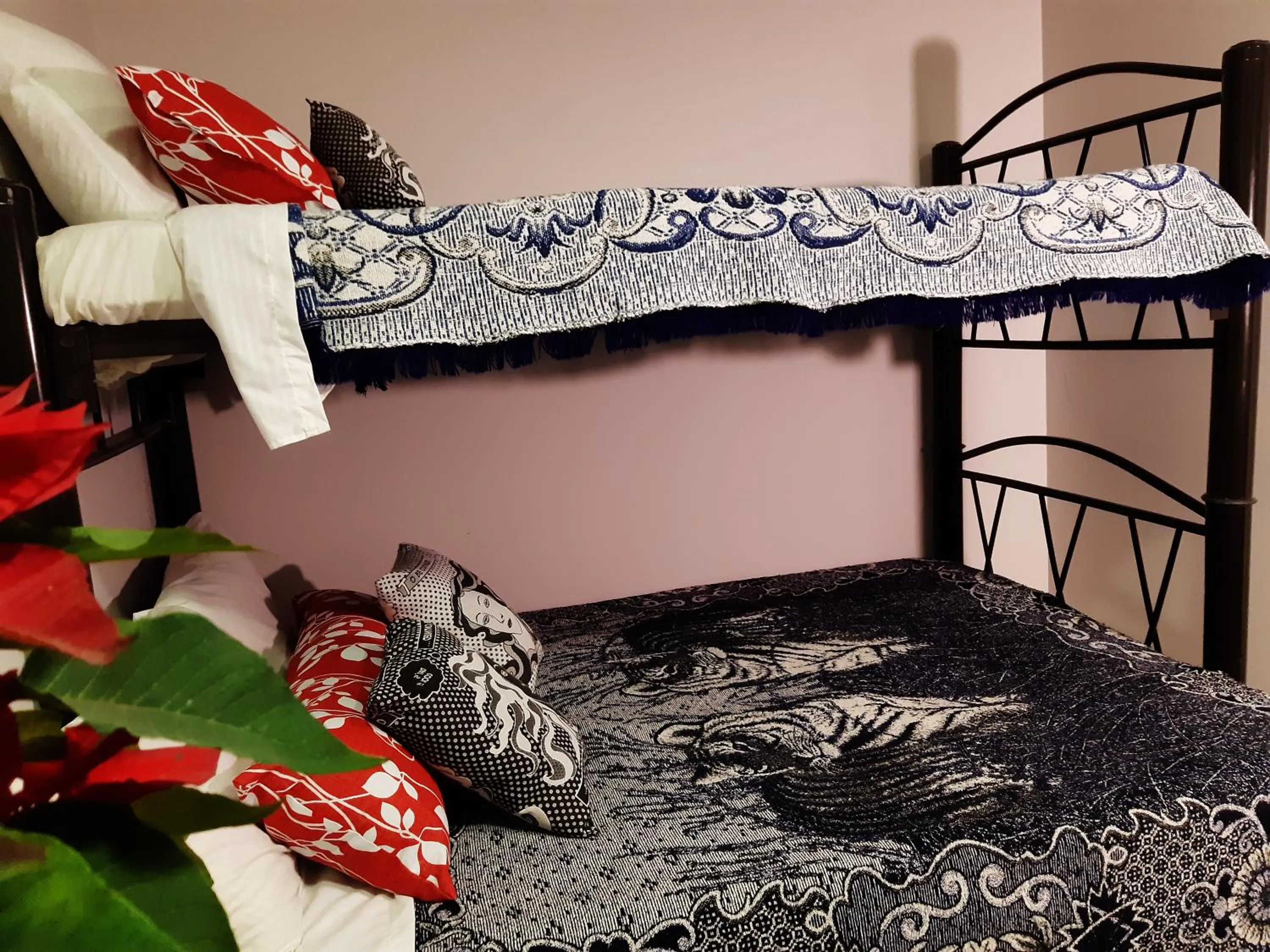 bunk bed, Bed in Alameda House