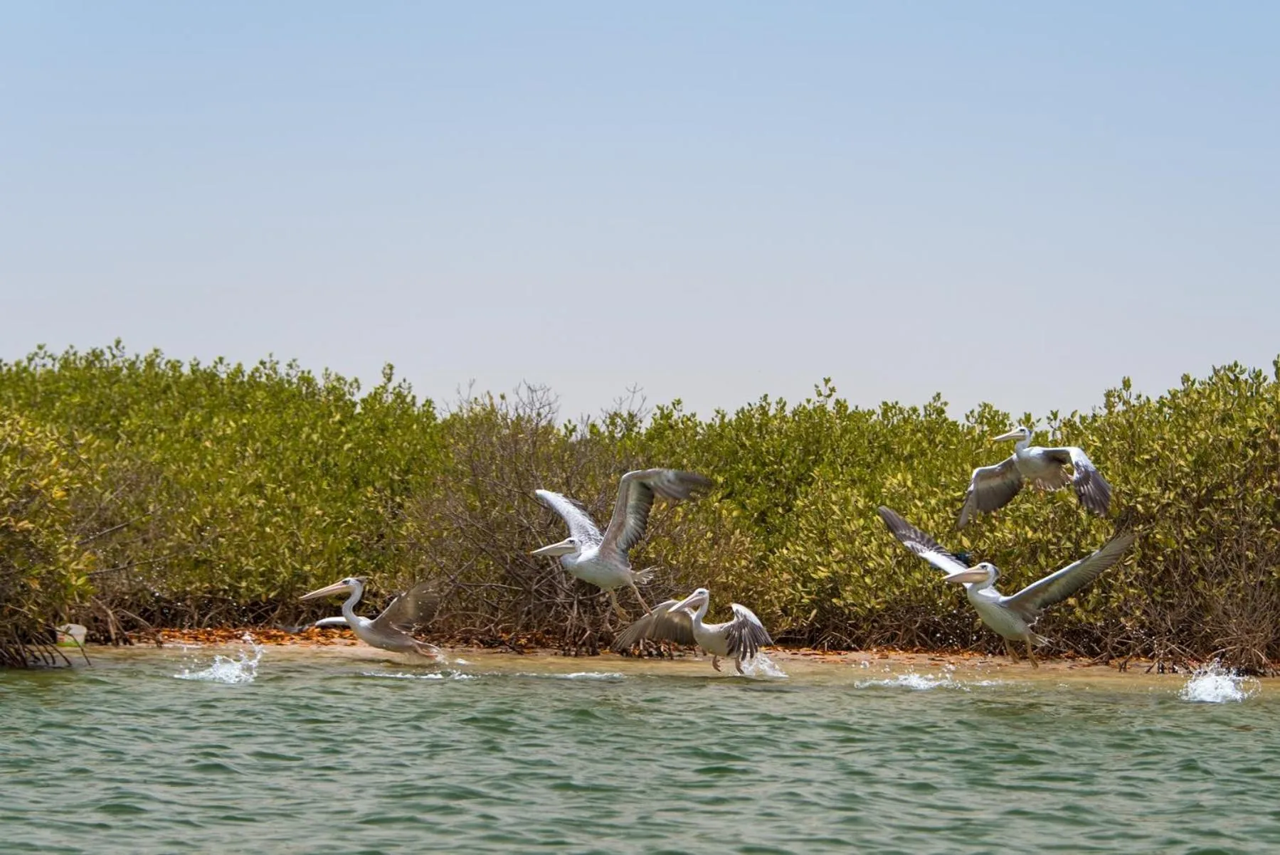 Entertainment in Le Saly Hotel & Hotel Club Filaos - All Inclusive